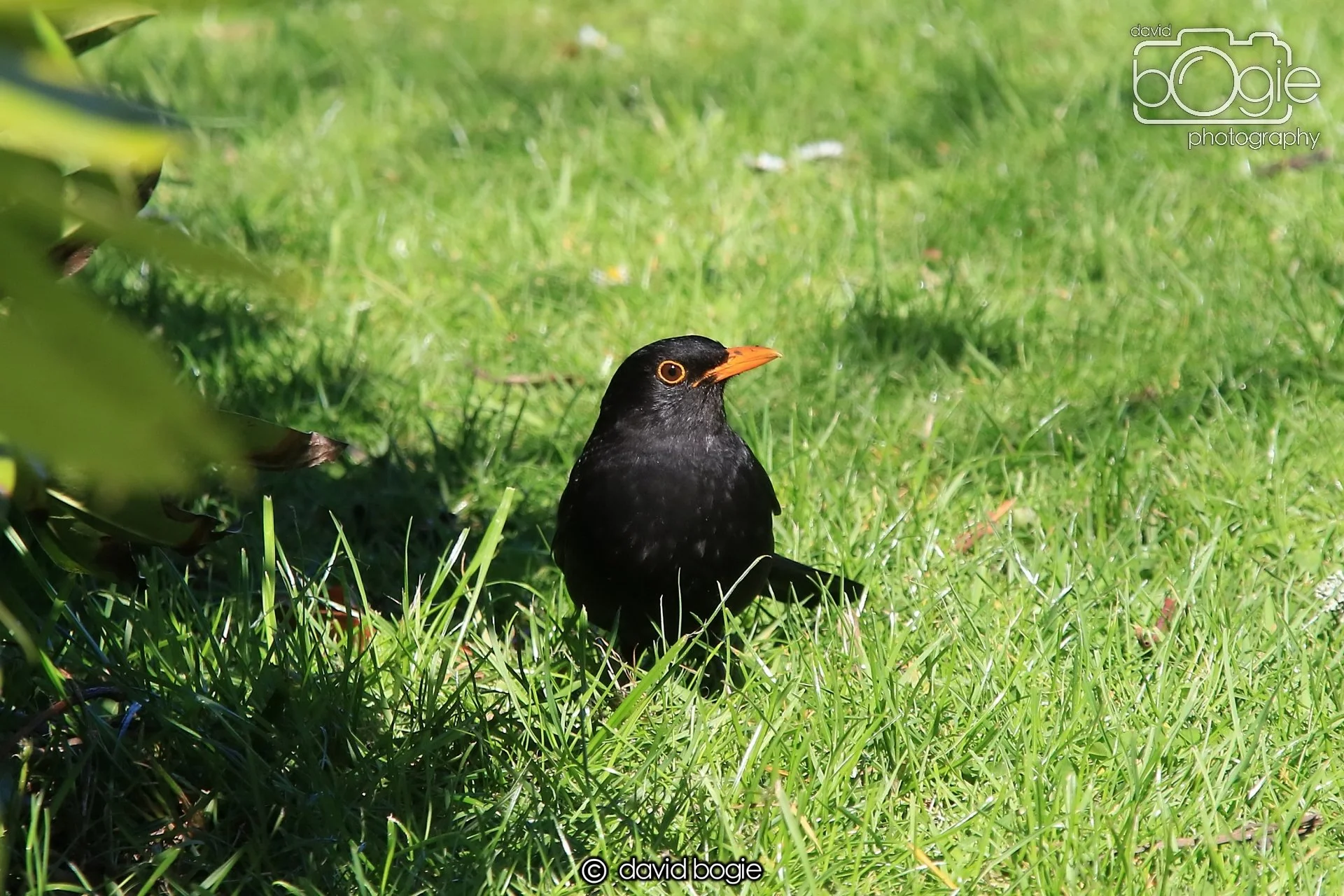 20250505 140224 Beveridge Park 1036.JPG