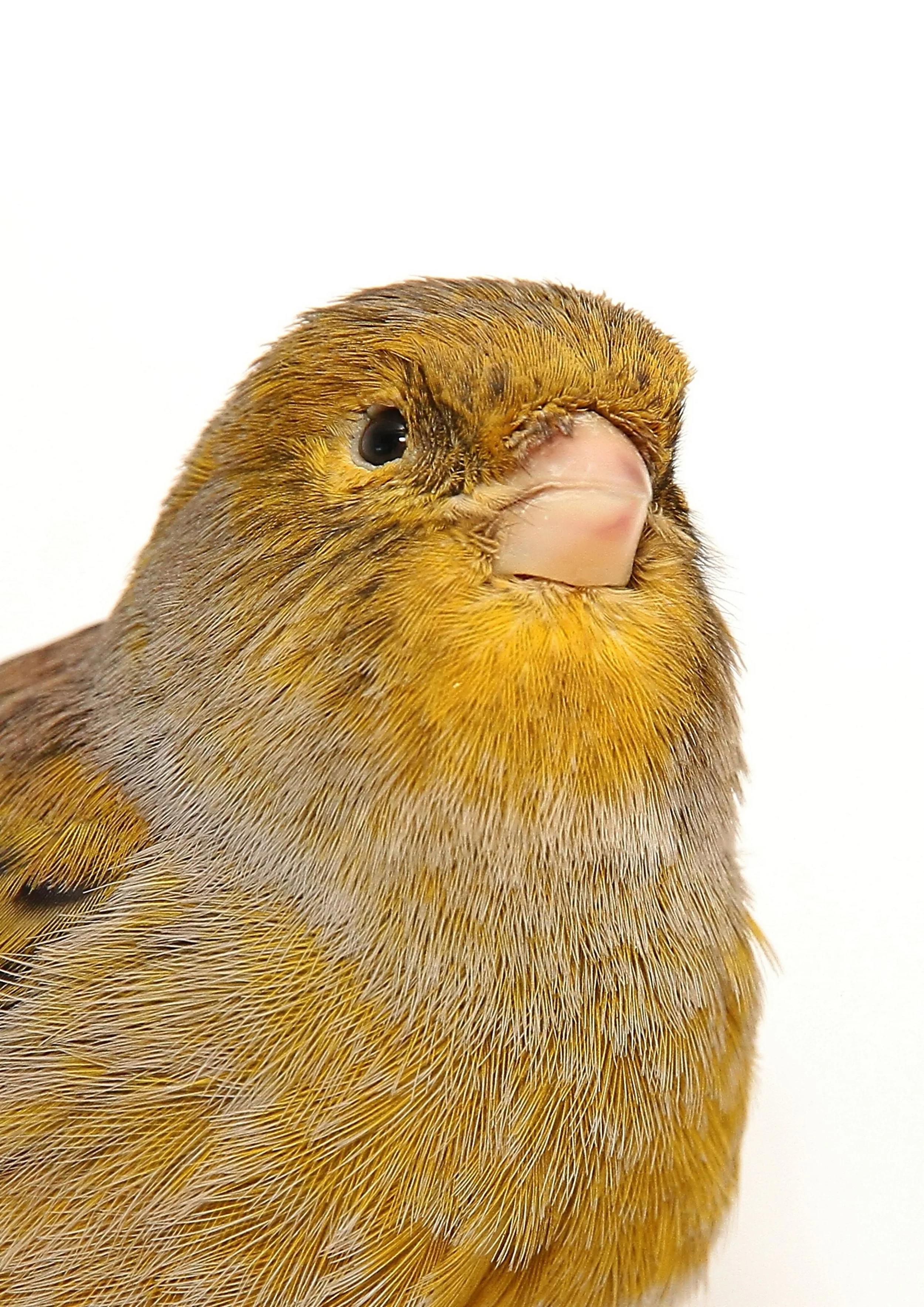 20260331 111555 K&S 0391.jpg