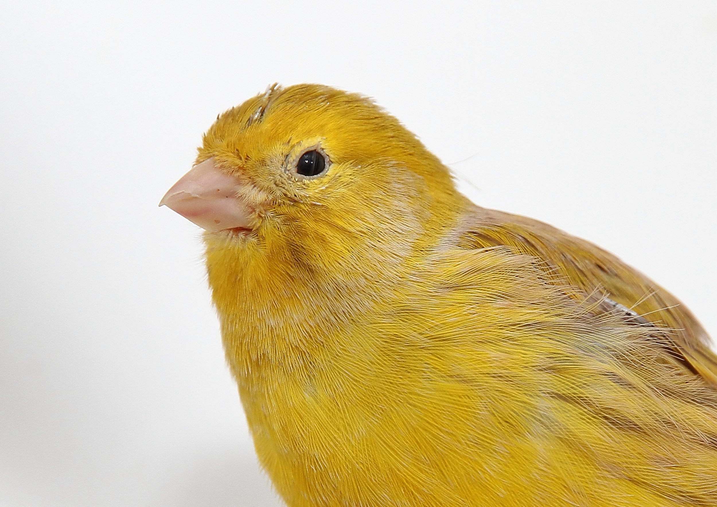 20260331 111655 K&S 0423.jpg