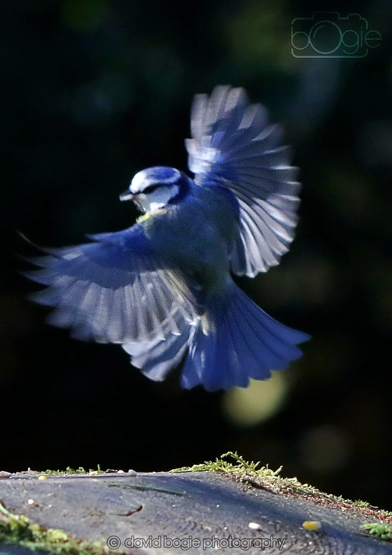 20260320 140918 Ravenscraig 0164.jpg