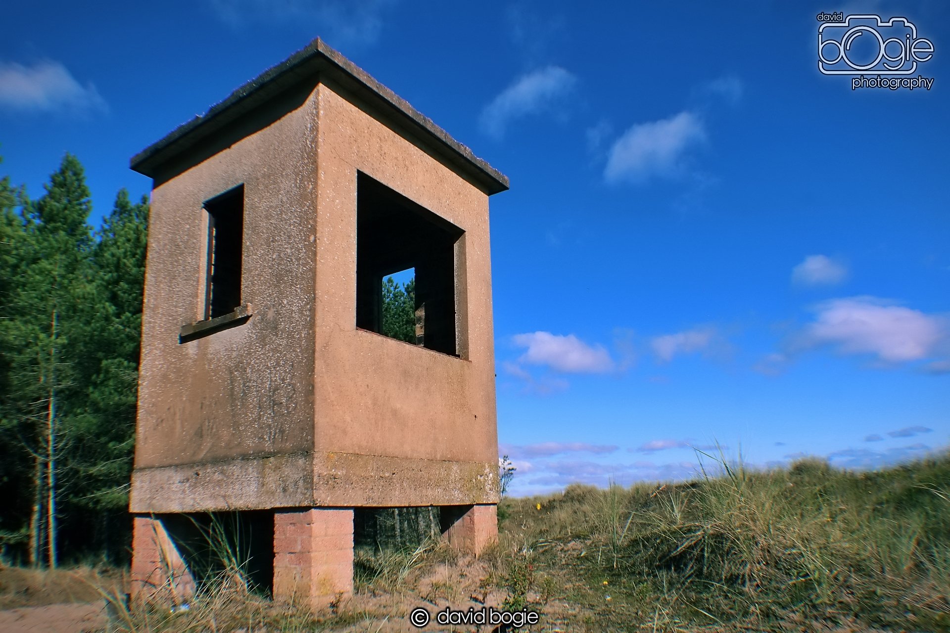 20191002 122145 Tentsmuir 0008.jpg