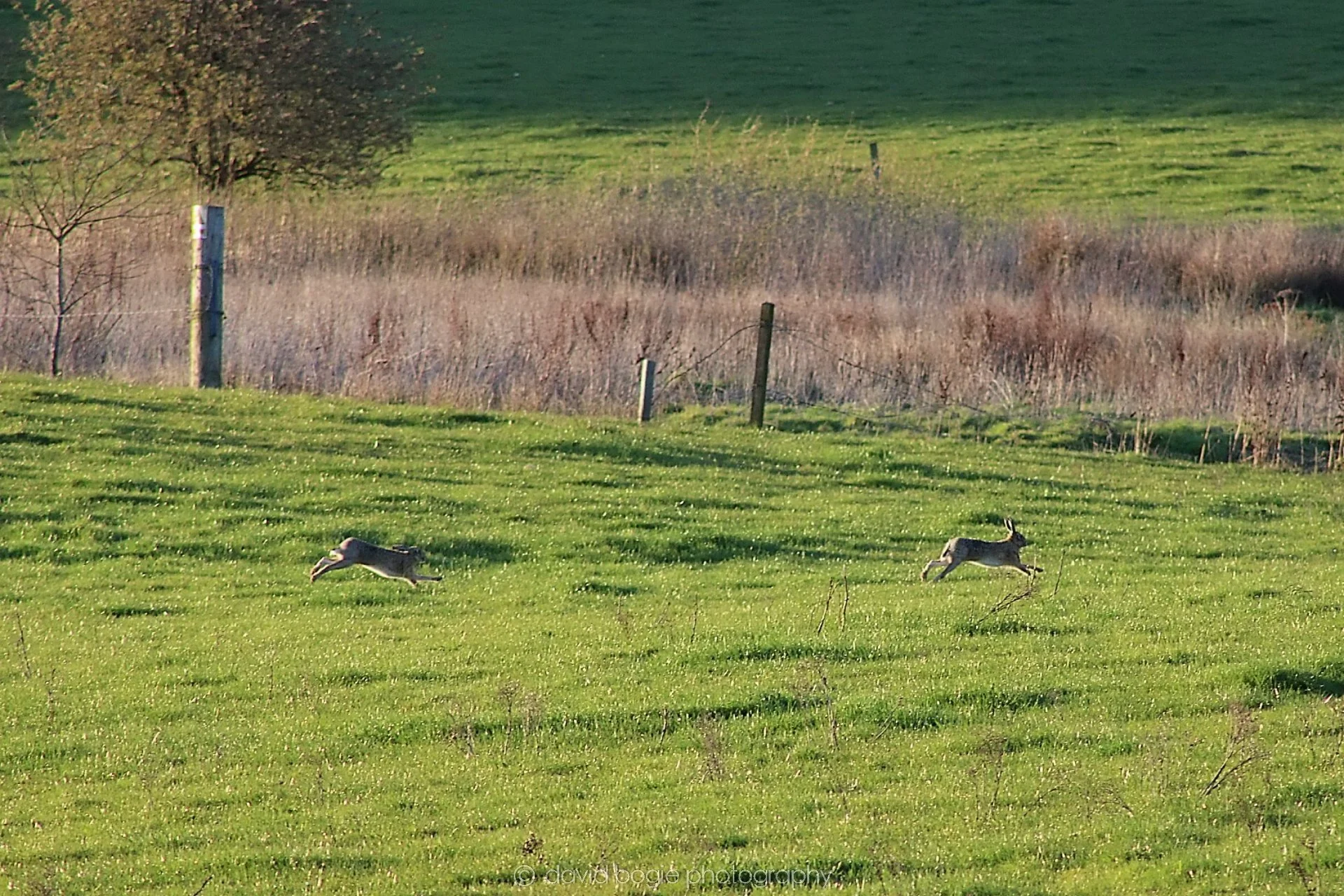 20190409 215635 Cardenden 0003.jpg