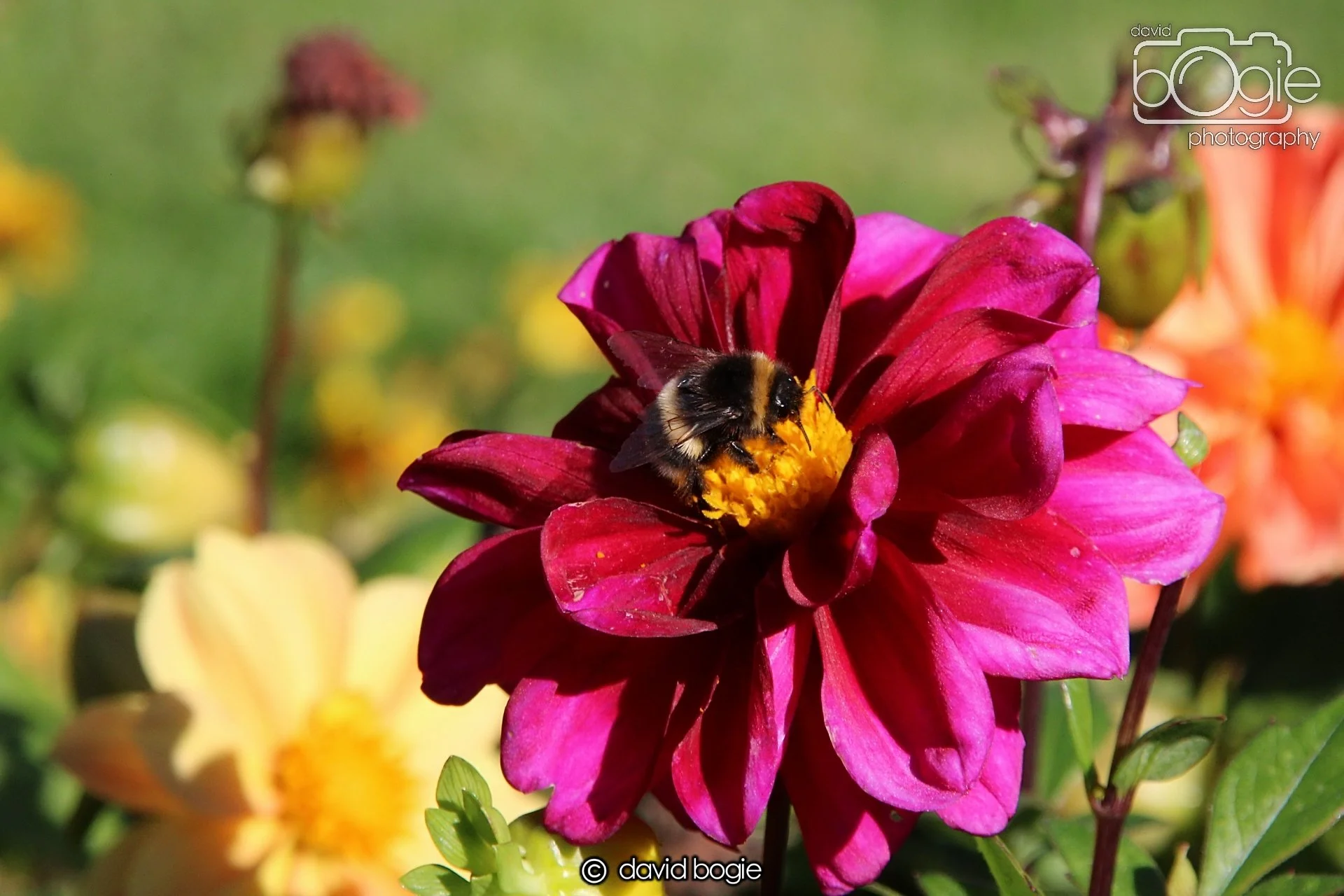 20240918 114833 Beveridge 0154.JPG