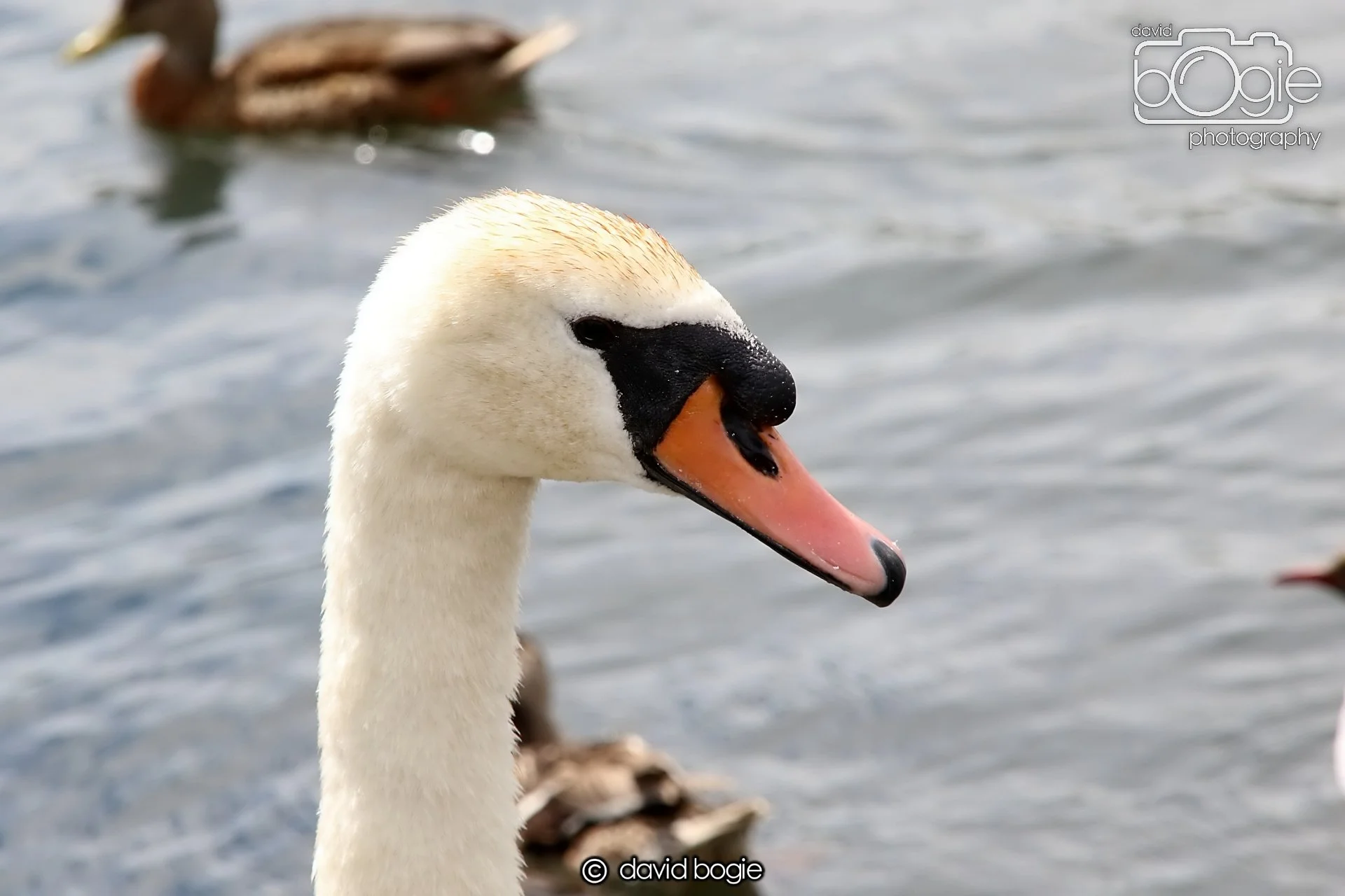 20250721 124857 Beveridge Park 0290.JPG