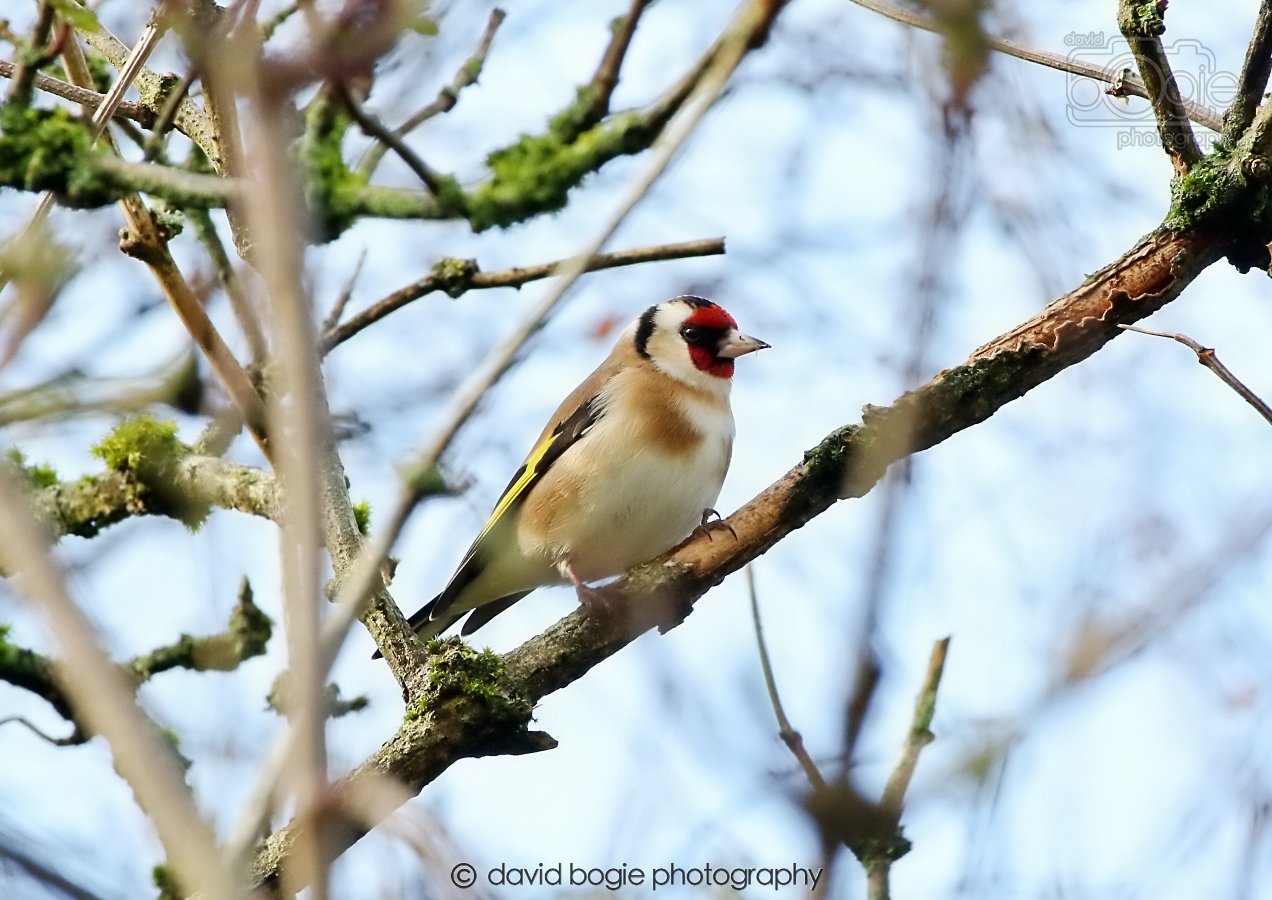 20260306 105341 Dunnikier 0123.jpg