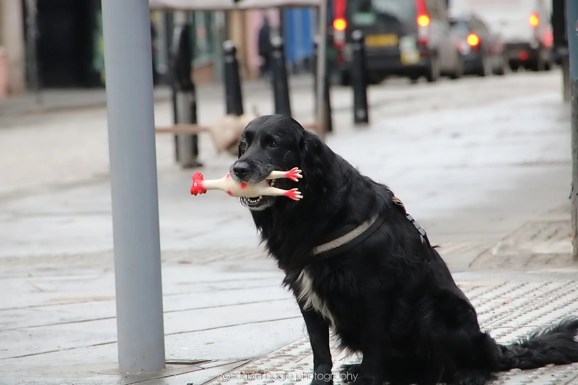 YEAR20240202 Edinburgh 0152.jpg