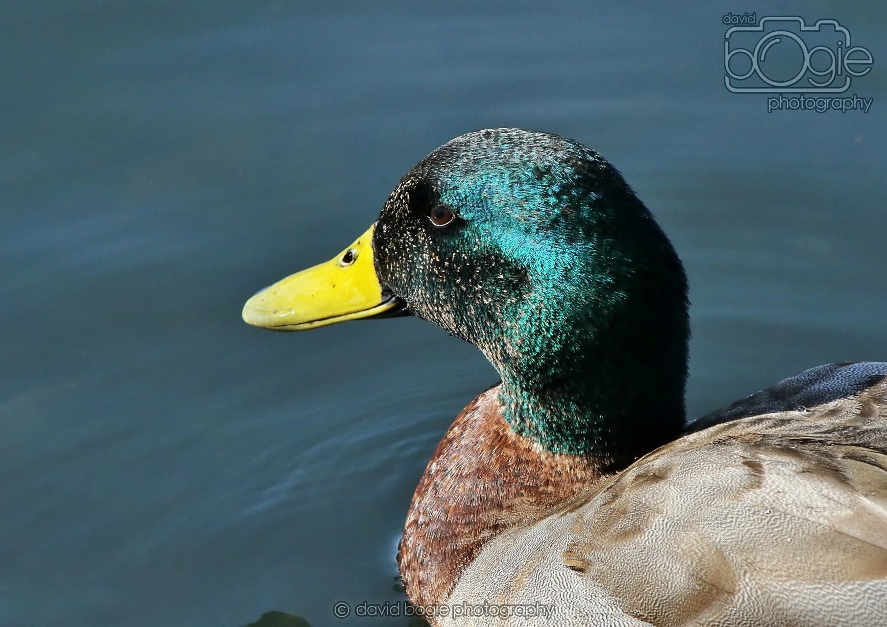 20260319 132927 Beveridge Park 0447.jpg