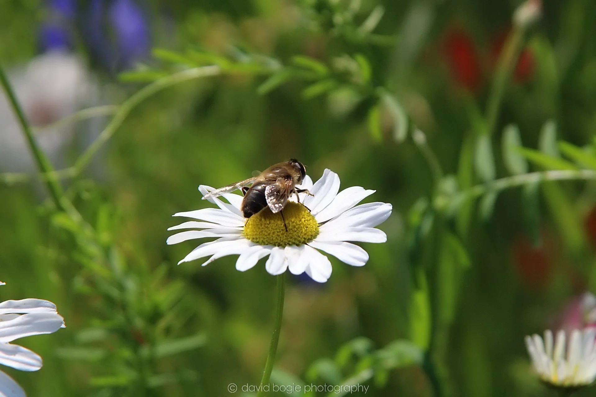 20210727 Beveridge Park4 .jpg