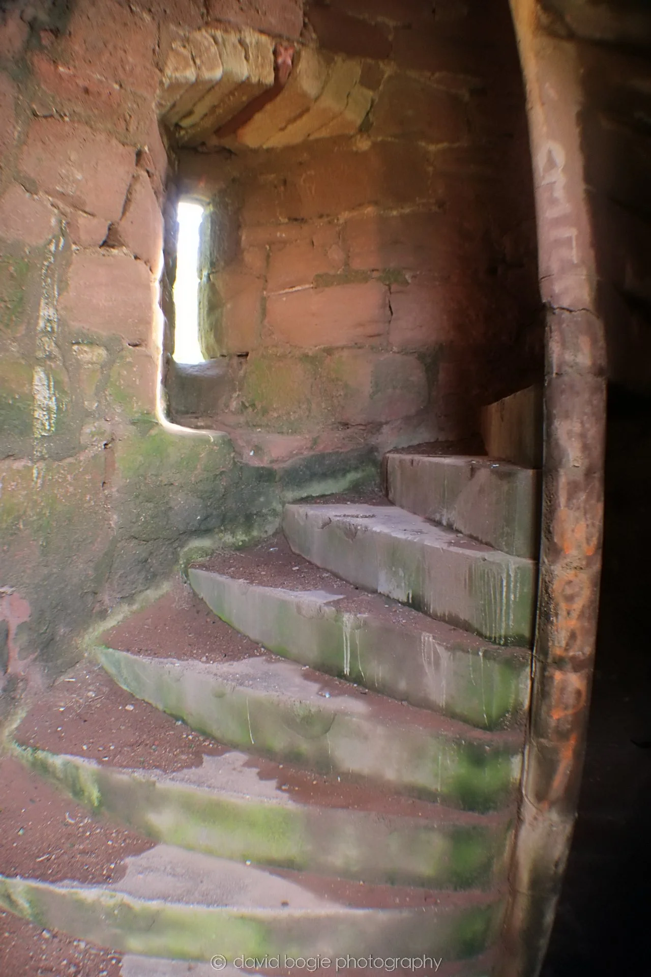 20190926 115120 Wemyss Caves 0047.jpg