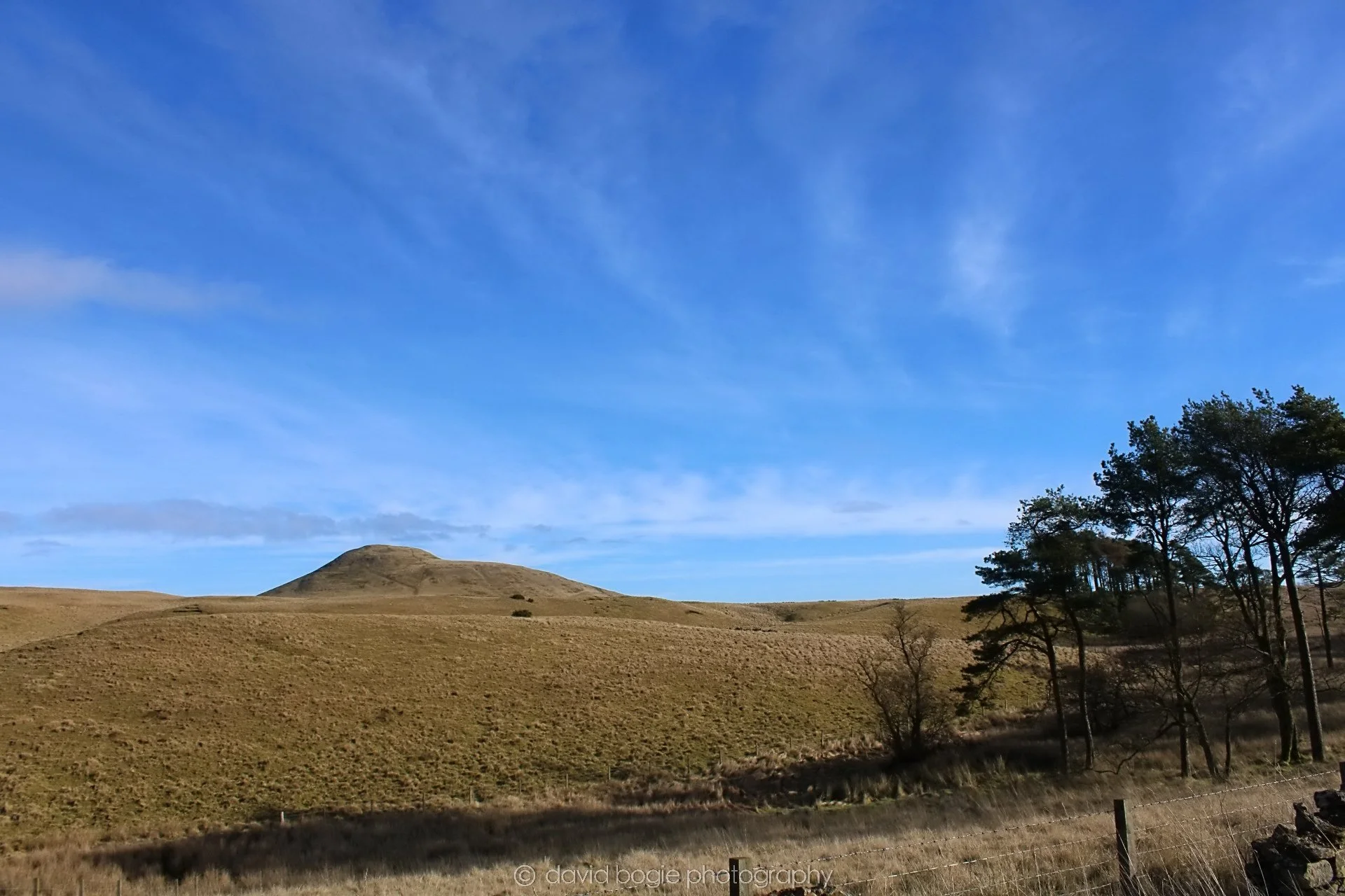 20190211 120915 Falkland 0011.jpg