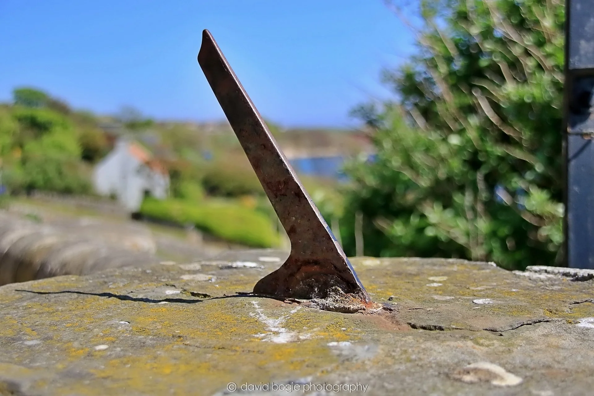 YEAR20250509 121550 Crail 0260.jpg