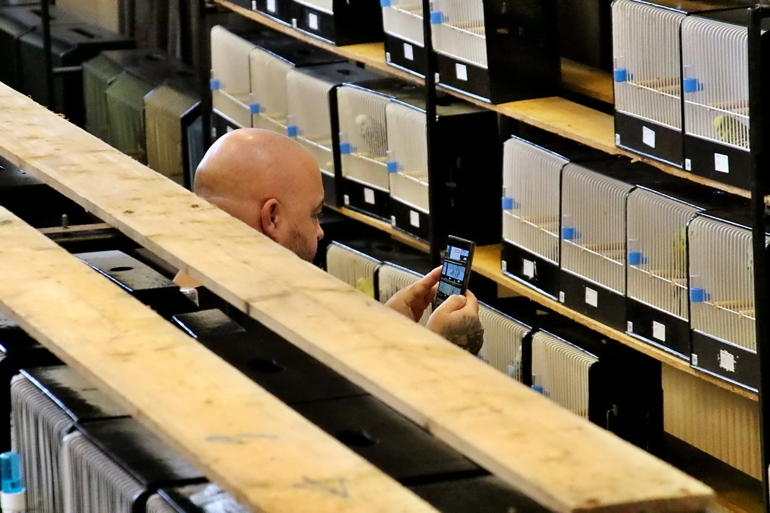 20251102 094223 Markinch CBS  0263.JPG