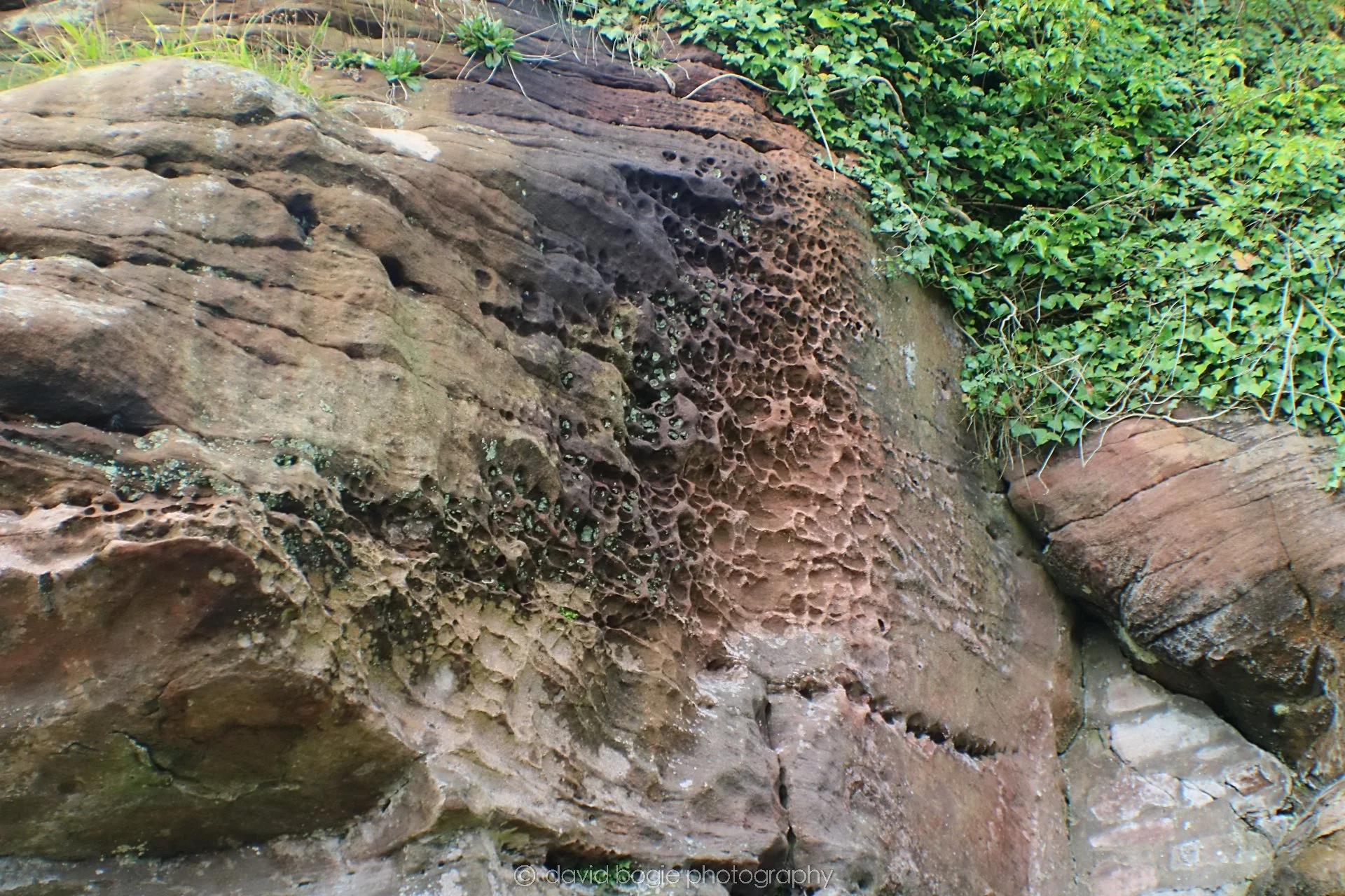 20190926 103205 Wemyss Caves 0018.jpg