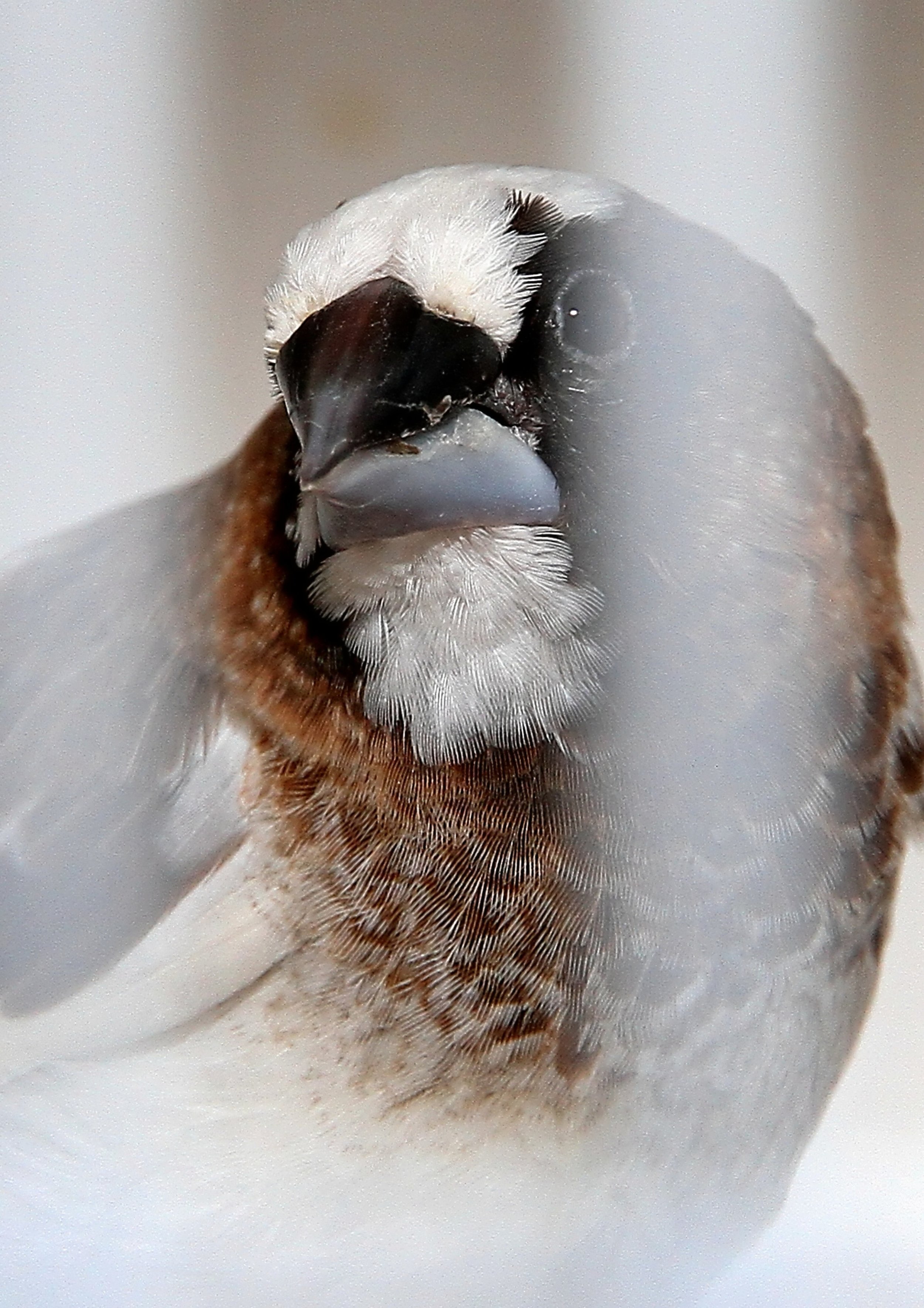 20260331 104226 K&S 0303.jpg