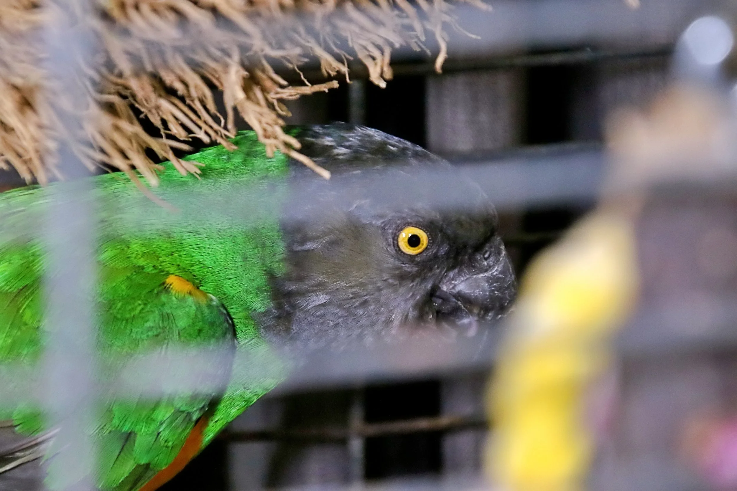 20251102 125424 Markinch CBS  0612.JPG