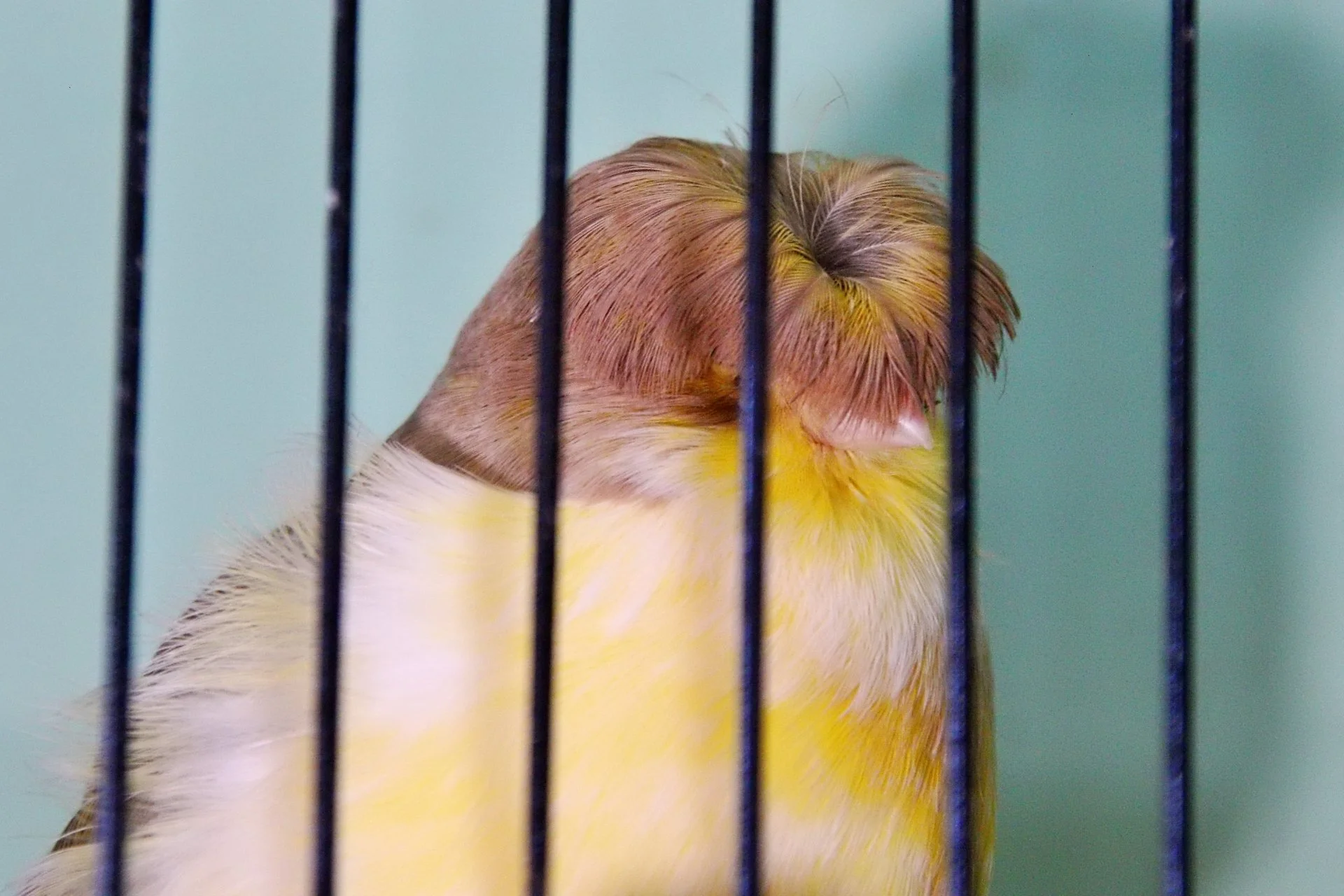 20241103 132446 MCBS Show 0557.JPG