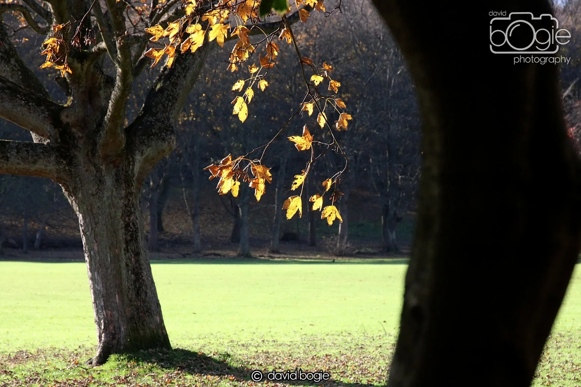 20231107 Beveridge Park 0388.jpg