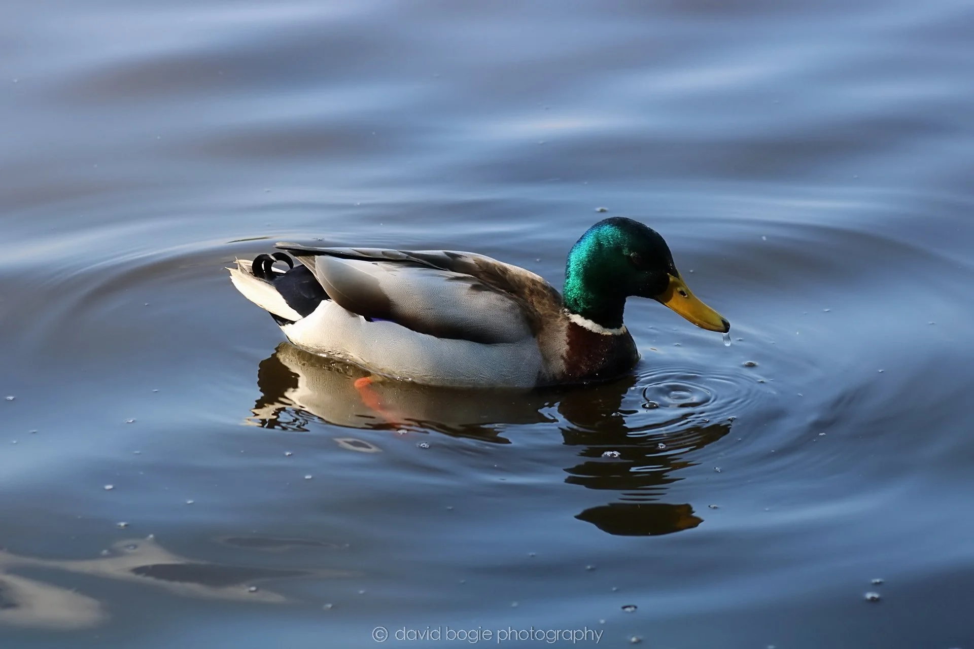 20190411 111318 Otterston 0011.jpg