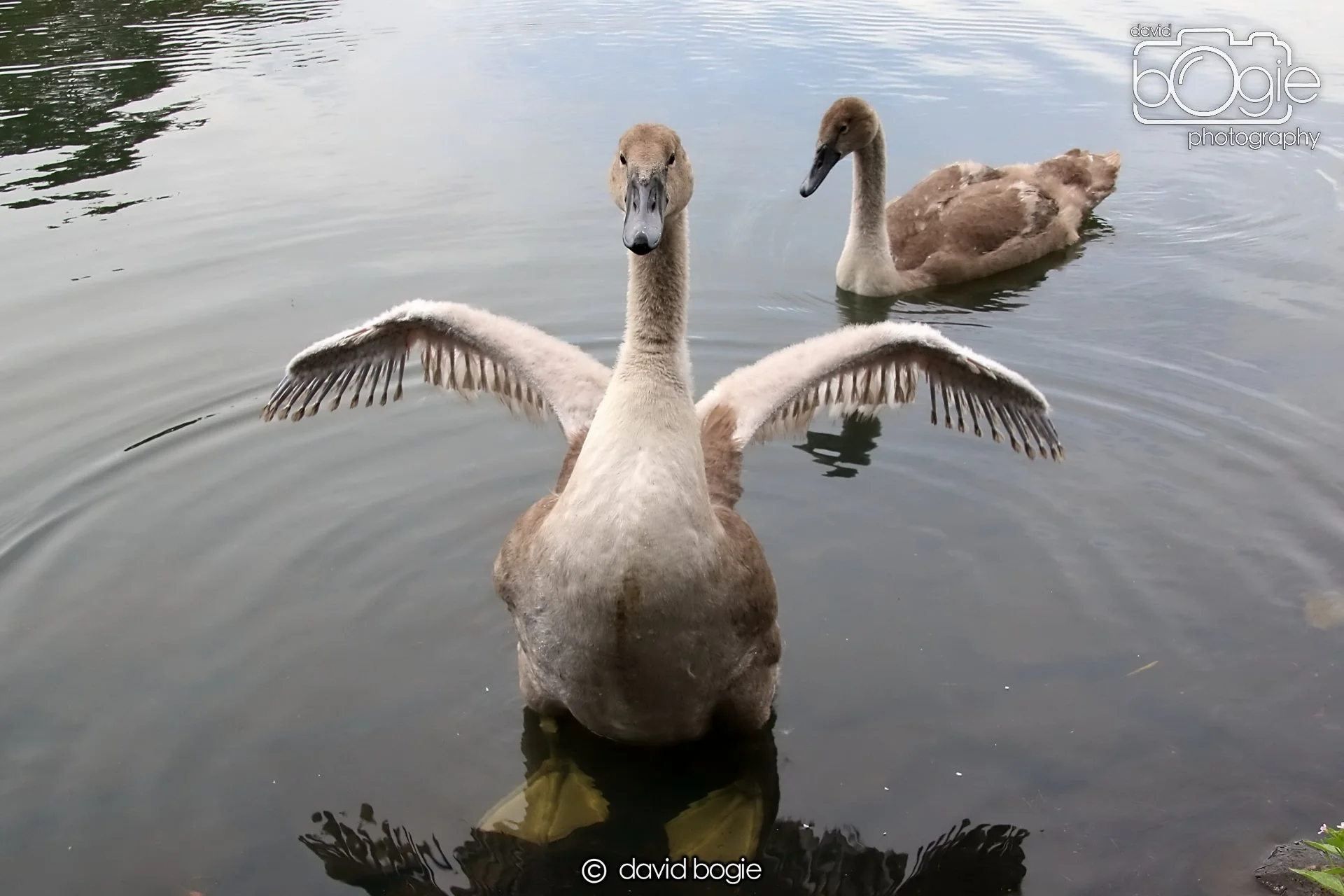 20250721 124138 Beveridge Park 0246.JPG