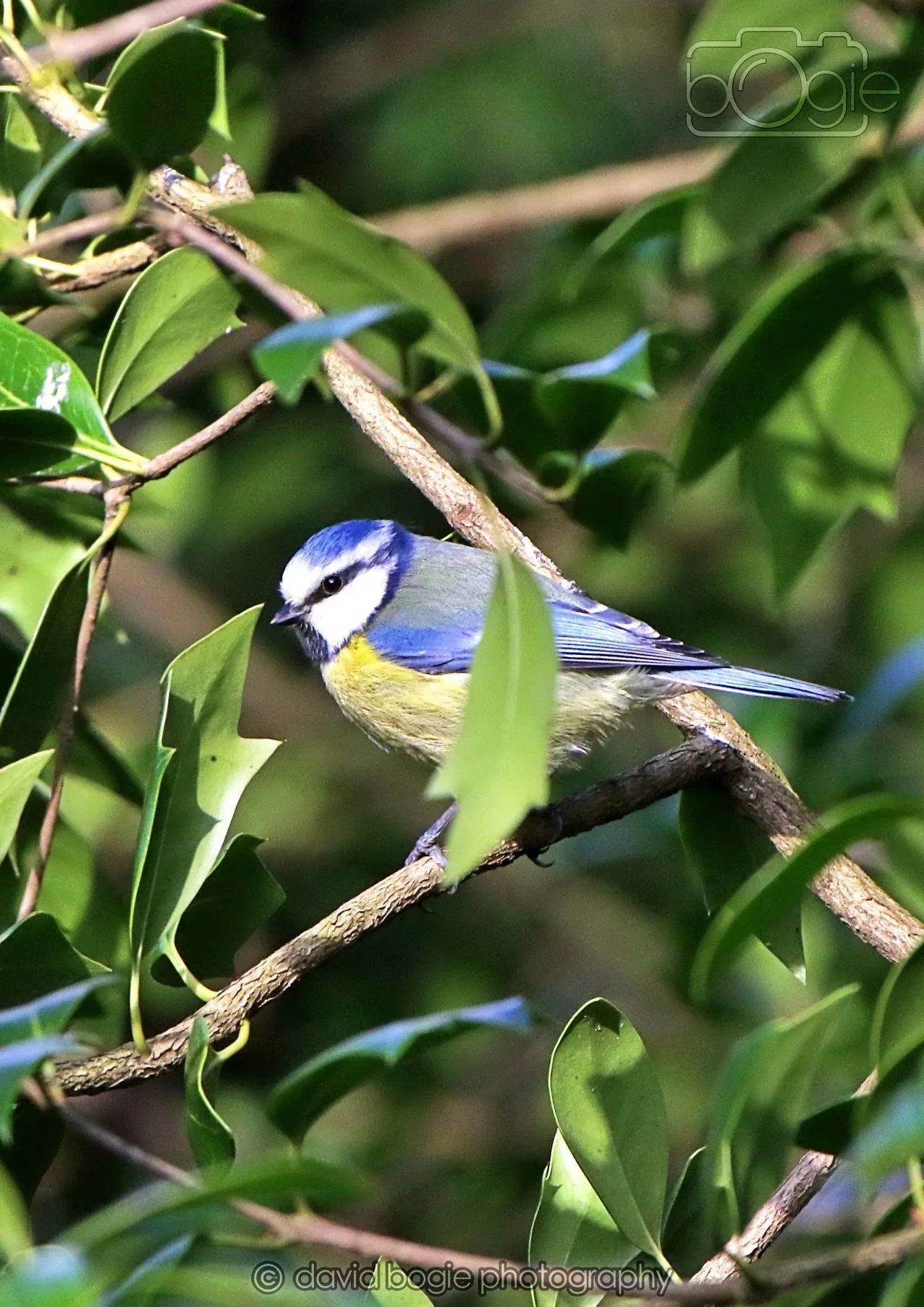 20260322 151419 Dunnikier 0322.jpg