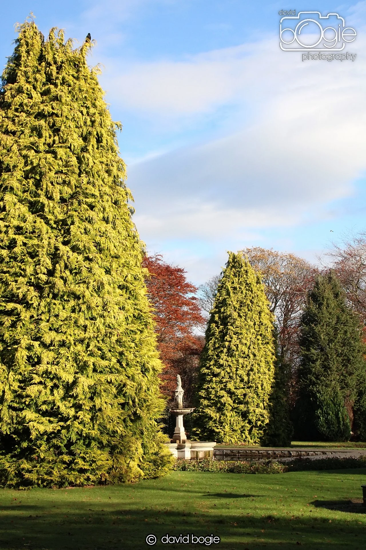 20231107 Beveridge Park 0379.jpg