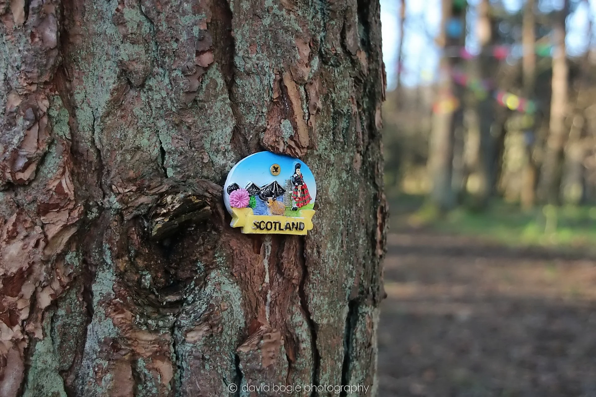 YEAR20240207 Lochore Meadows 0201.jpg