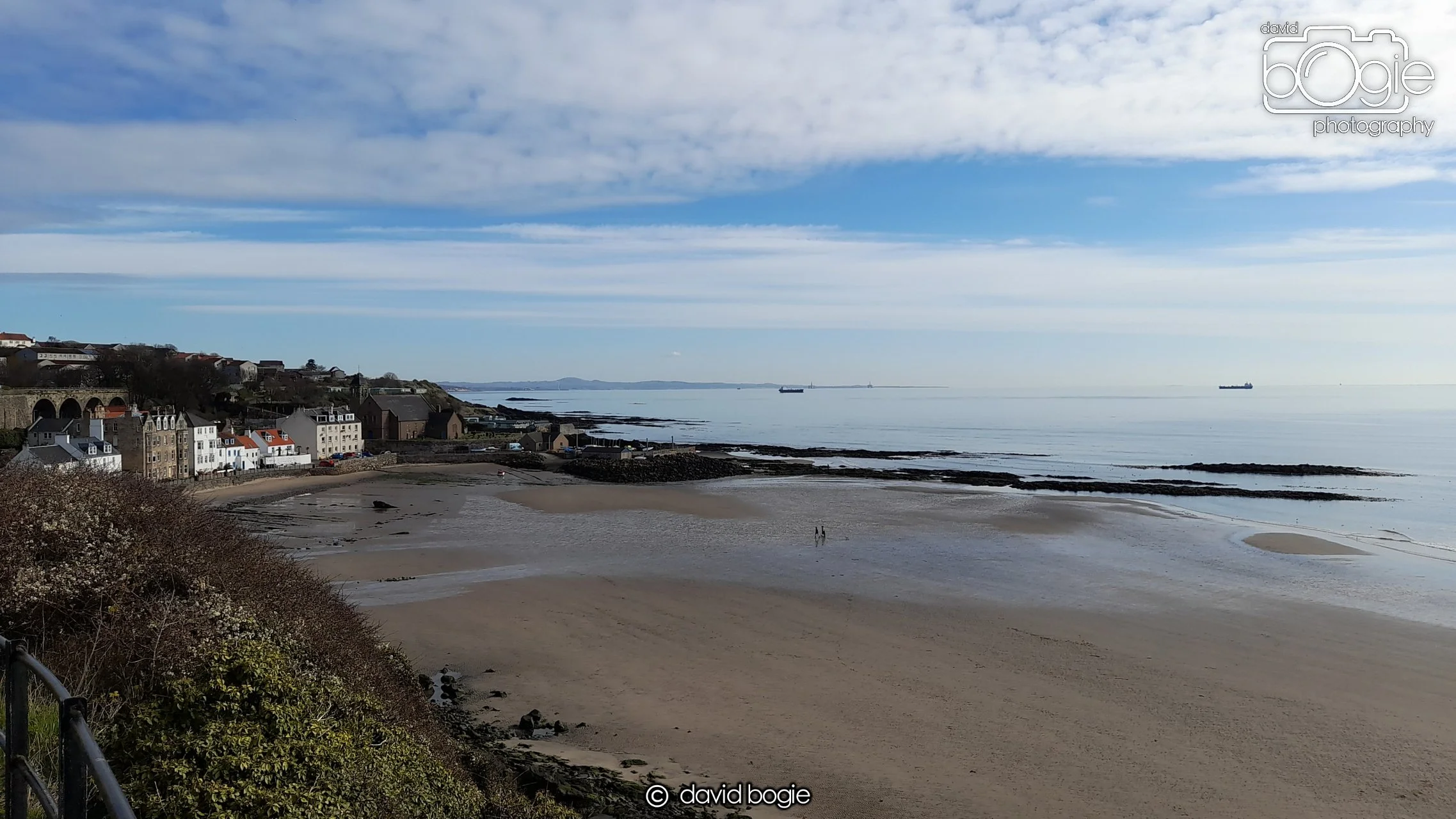 20210413 Kinghorn (6) .jpg