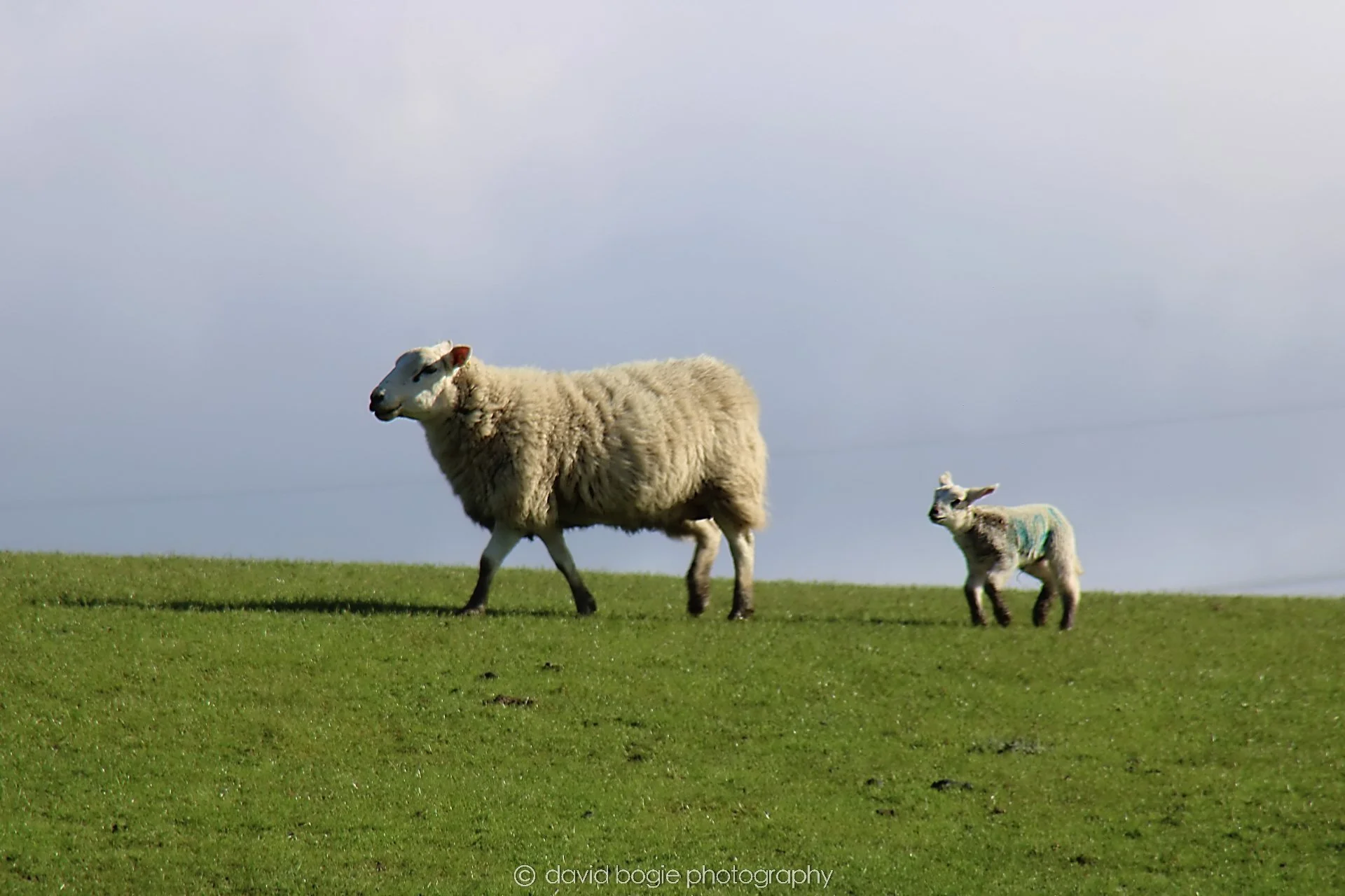 YEAR20240415 101704 001.jpg