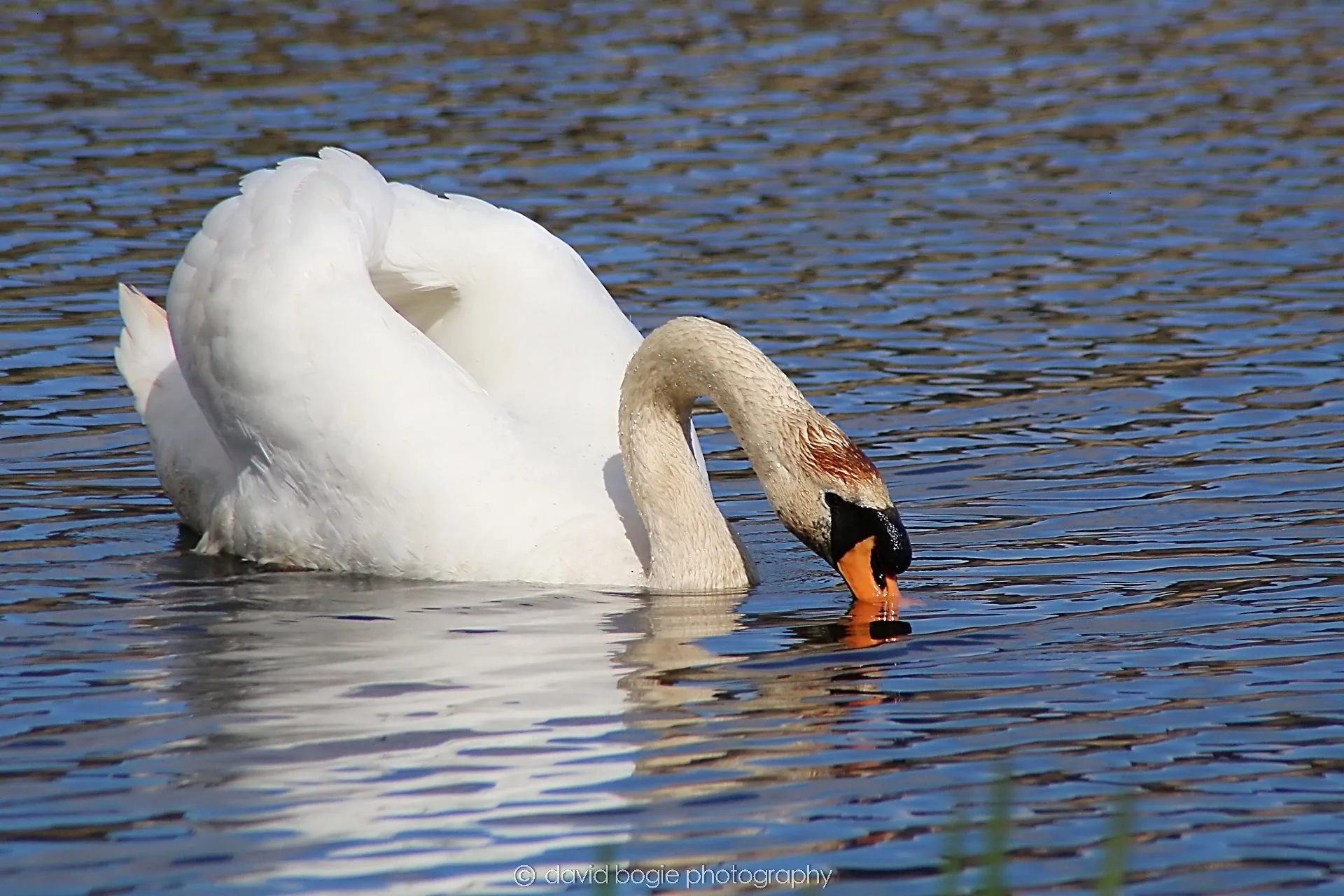 YEAR20230410 Lochore 00148.jpg