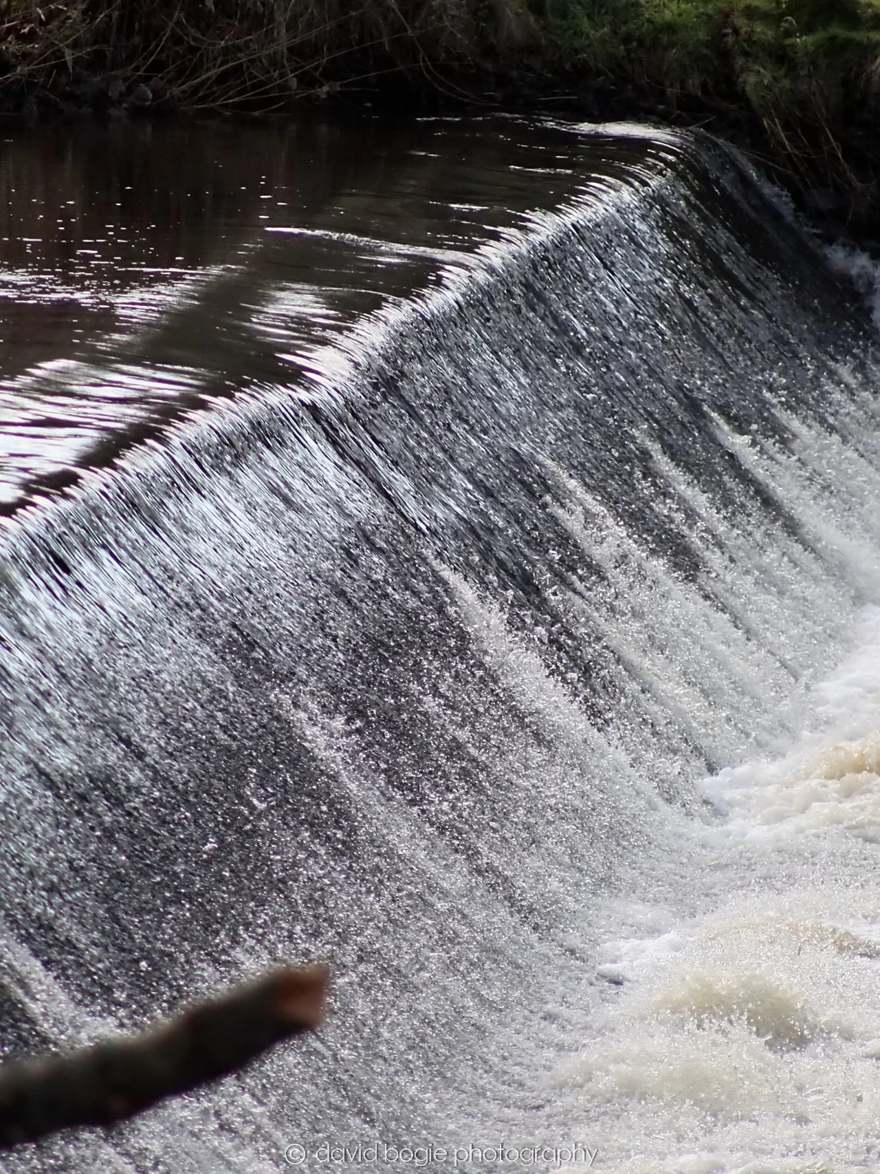 YEAR20251205 125215 East Calder 0049.jpg