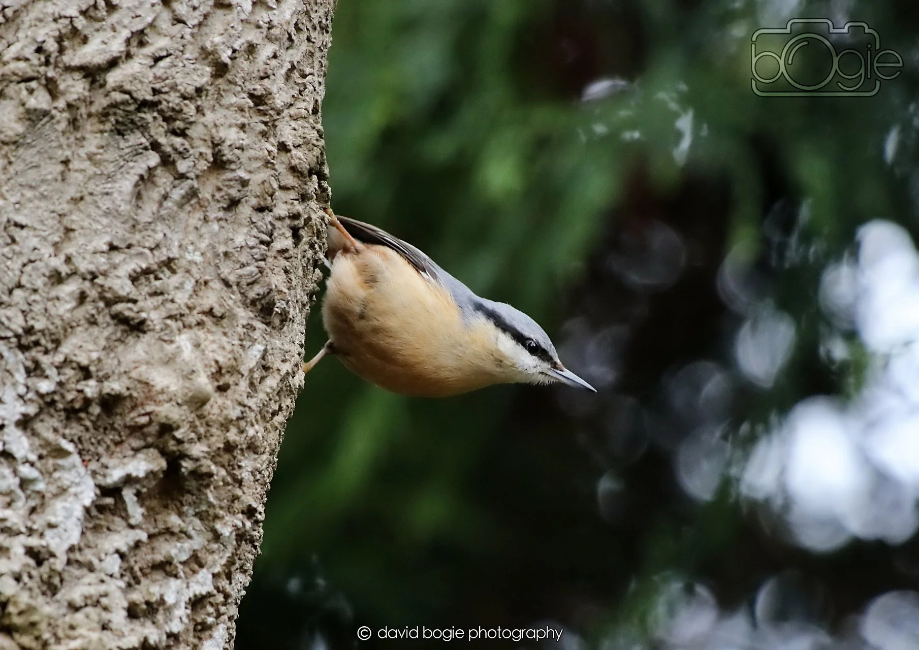 20260330 112926 Dunnikier 0207.jpg