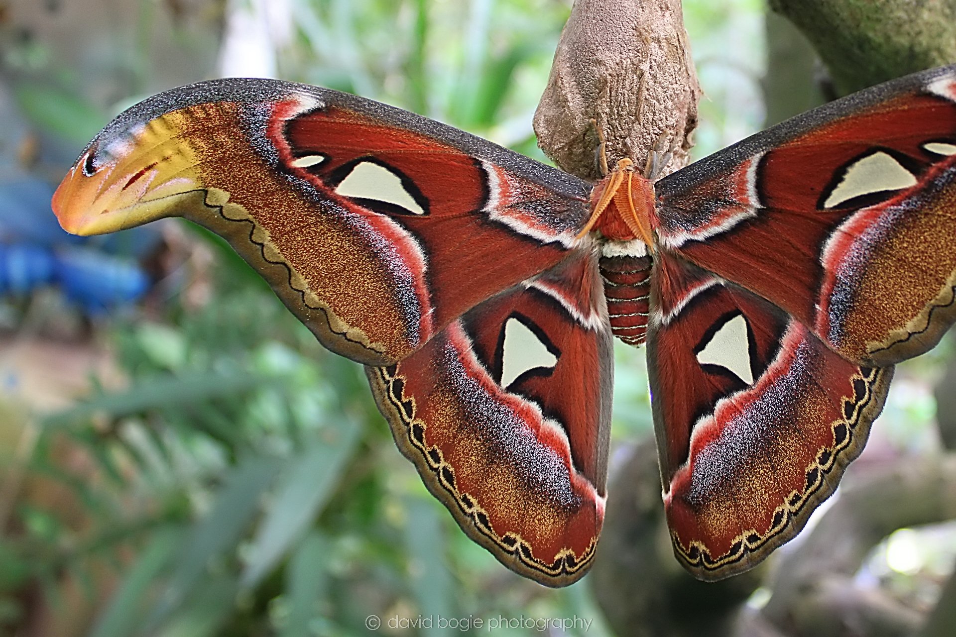 20191019 125928 Butterfly World 0031.jpg