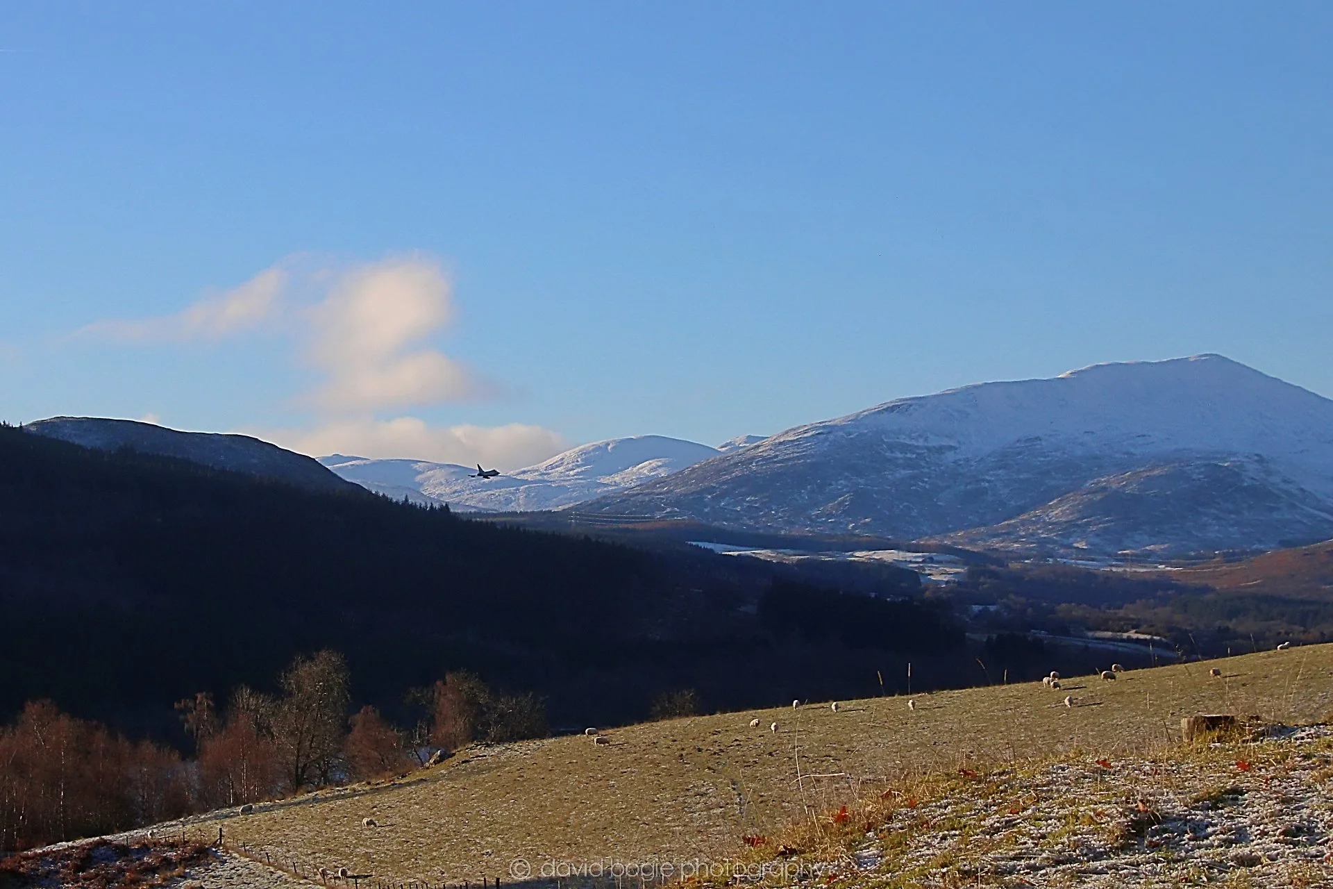 YEAR20221215 00014 Aberfeldy.jpg