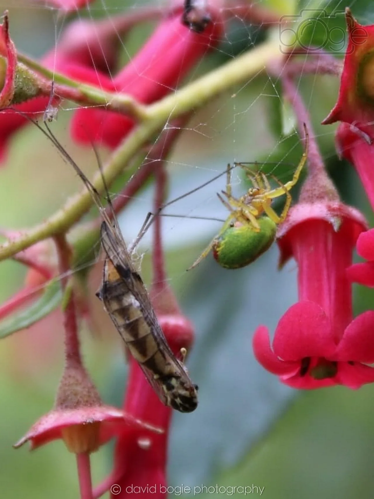 20190702 Cardenden 0011.jpg