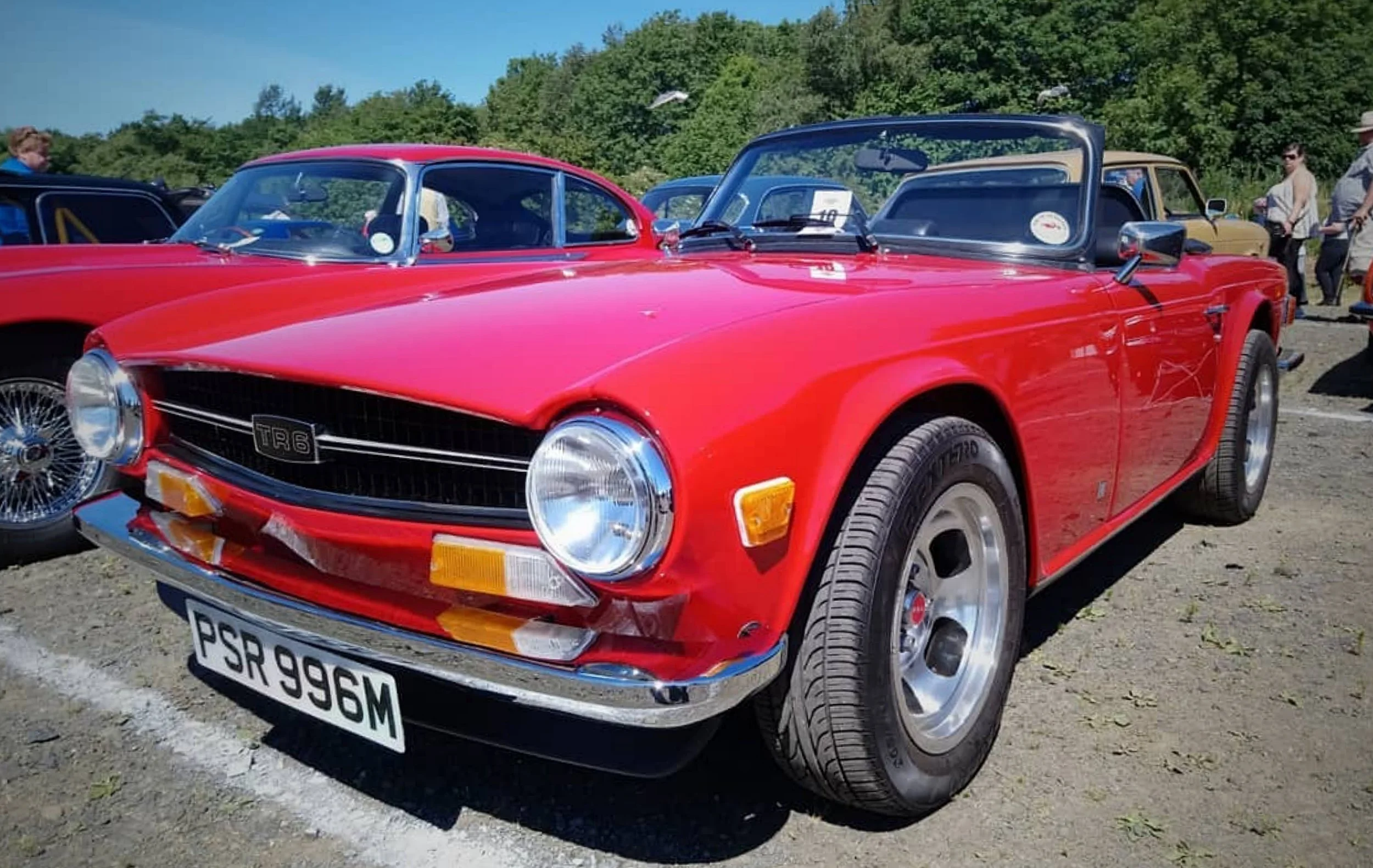 20180624 Leven Rally 0016.jpg