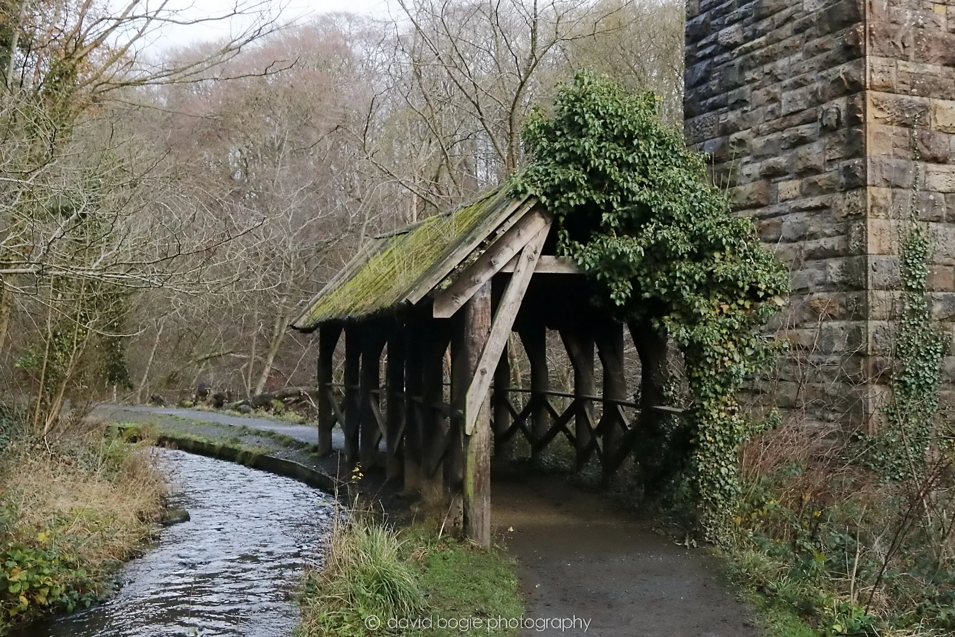 YEAR20251205 134830 East Calder 0190.jpg