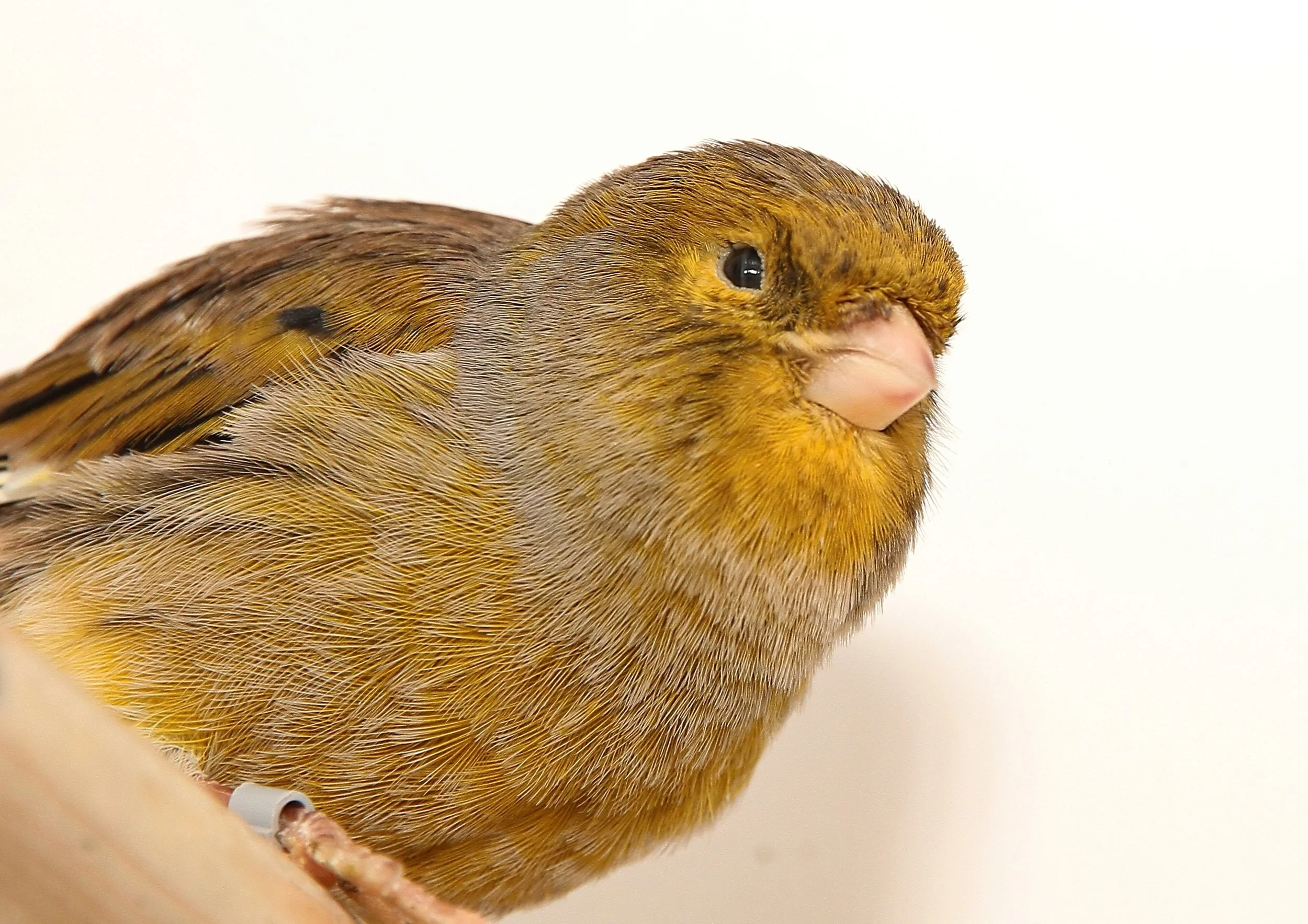 20260331 111623 K&S 0405.jpg