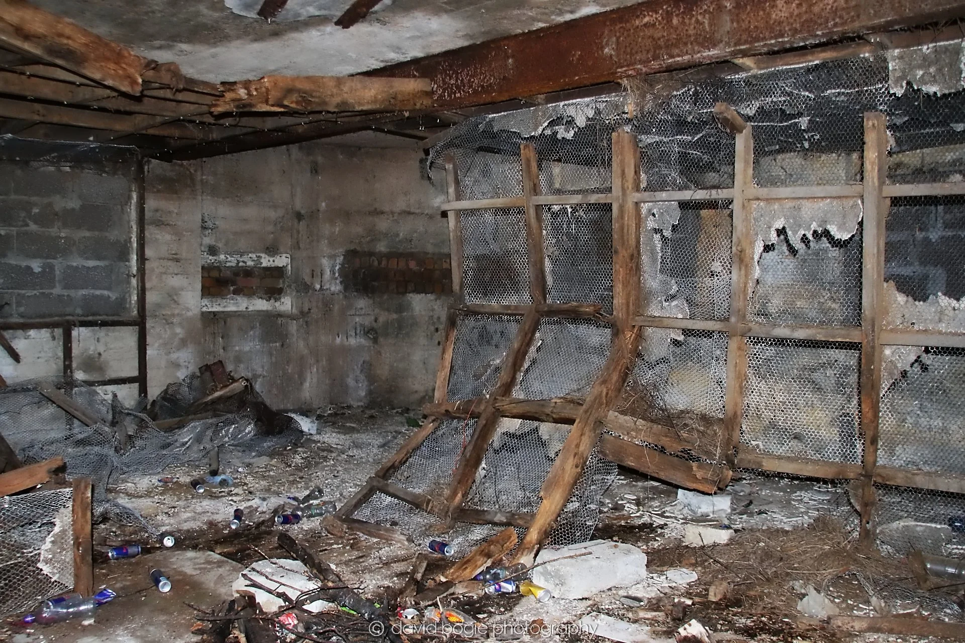 YEAR20250407 123109 Braefoot 7491.jpg