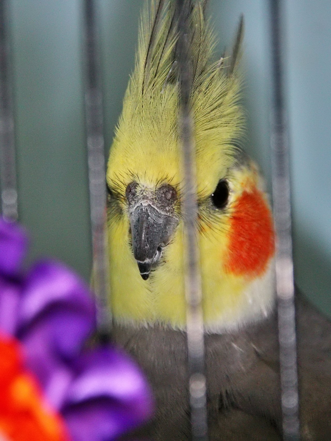 20241103 131636 MCBS Show 0519.JPG