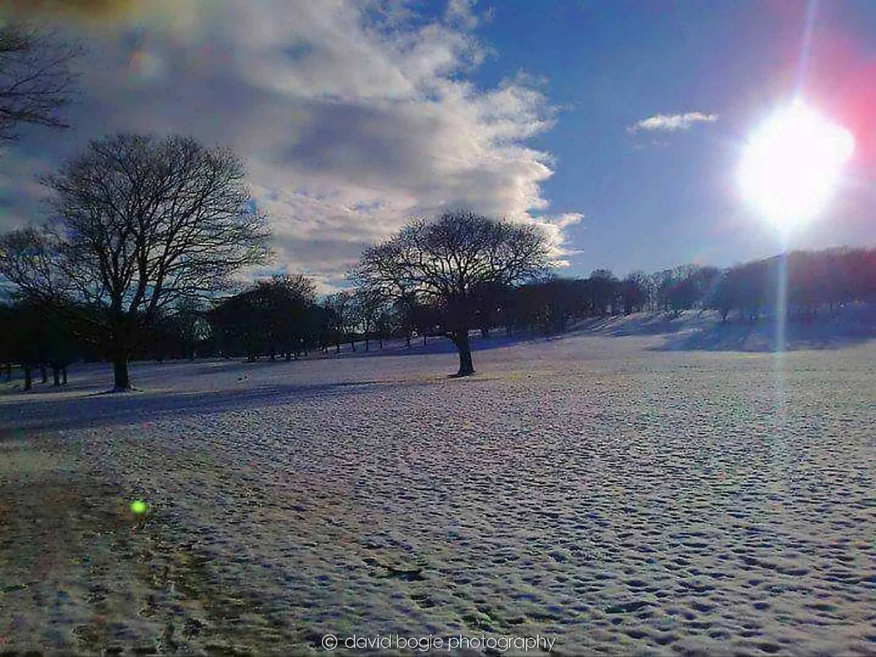 20160326 Beveridge Park 0003.jpg