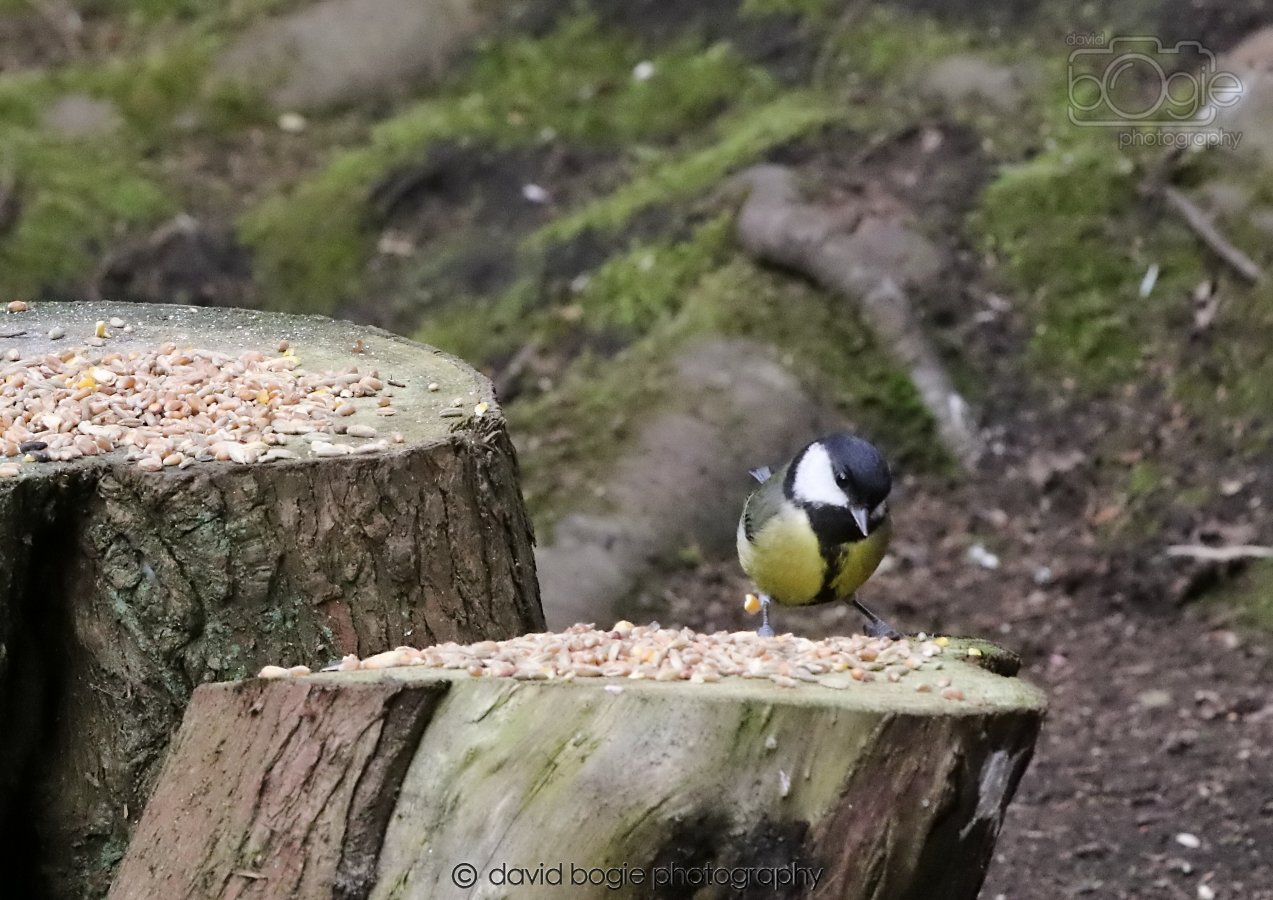 20260309 120432 Dunnikier 0580.jpg