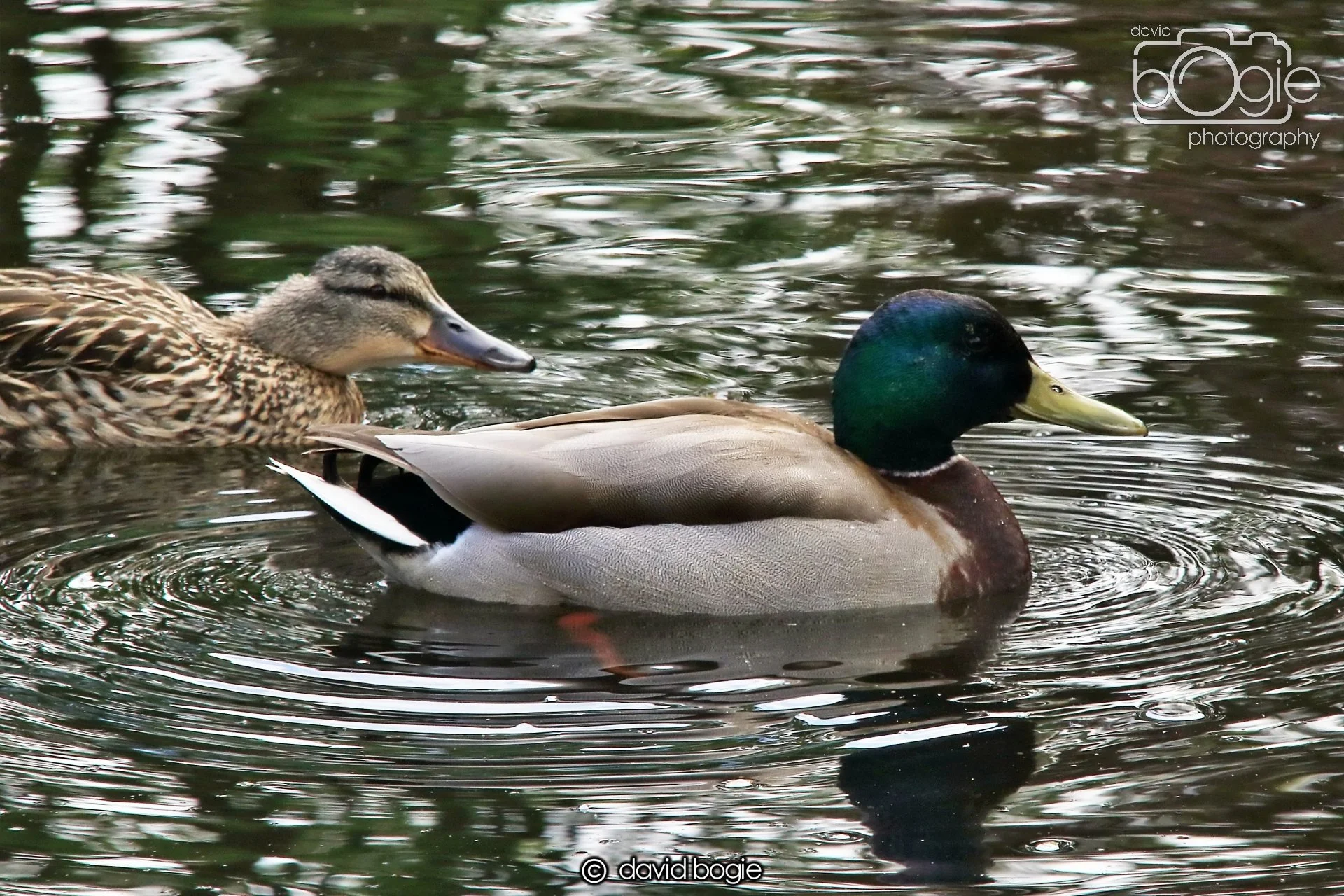 20250505 132349 Beveridge Park 0824.JPG