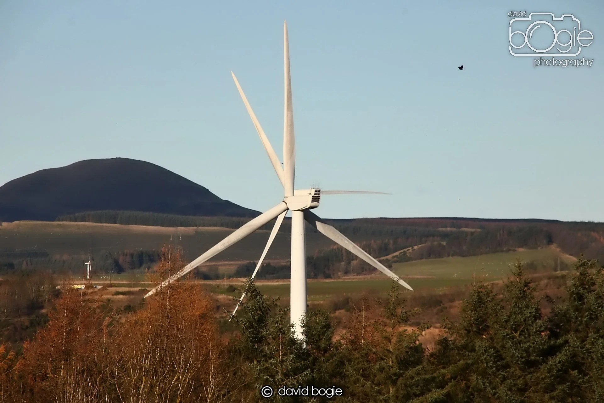 20241127 133824 Kinglassie 0318.JPG