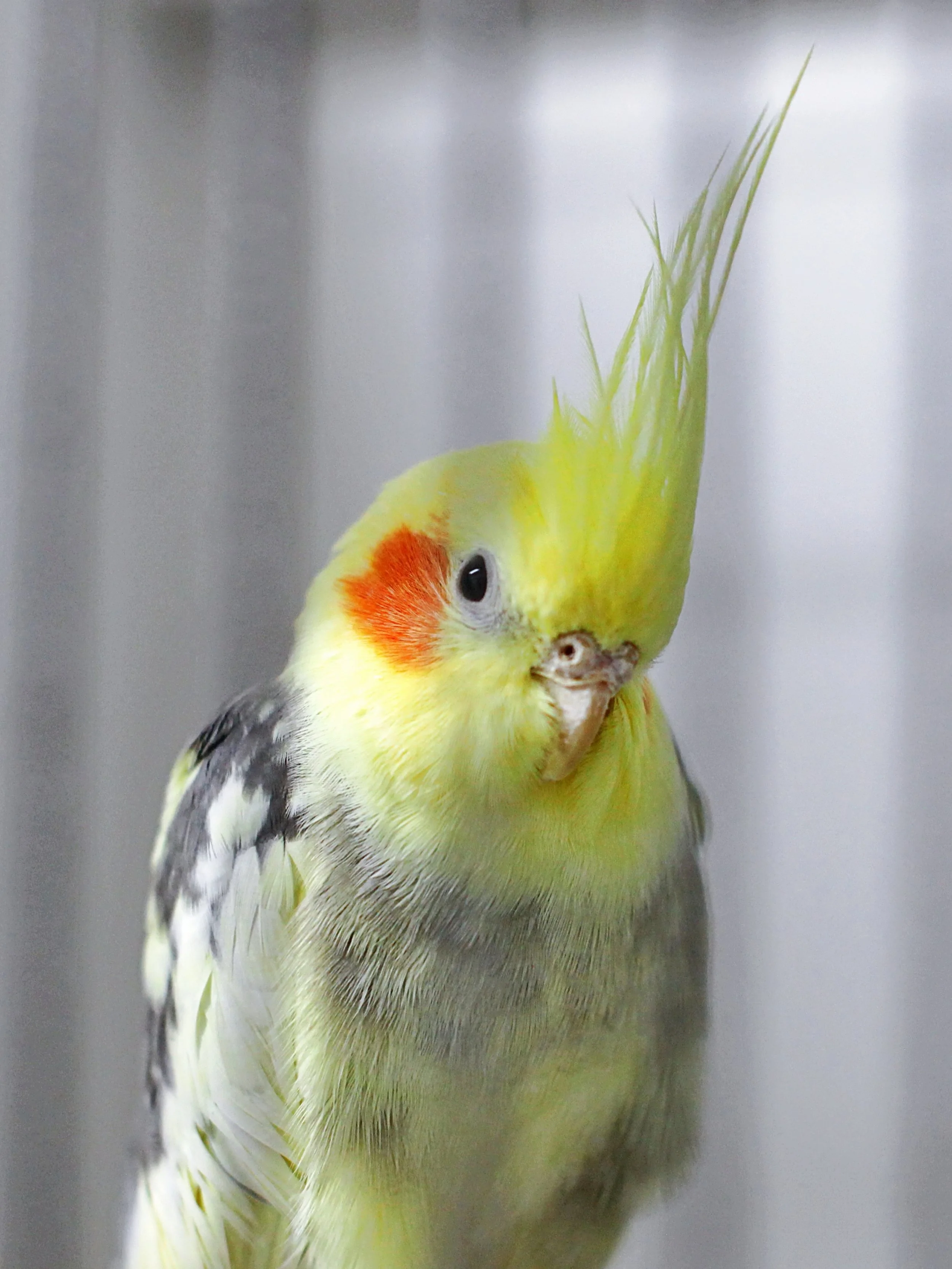 20251117 133322 IMG_0052.JPG