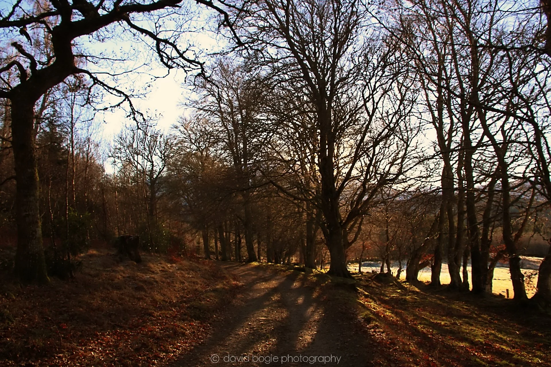 YEAR20221215 00071 Aberfeldy.jpg