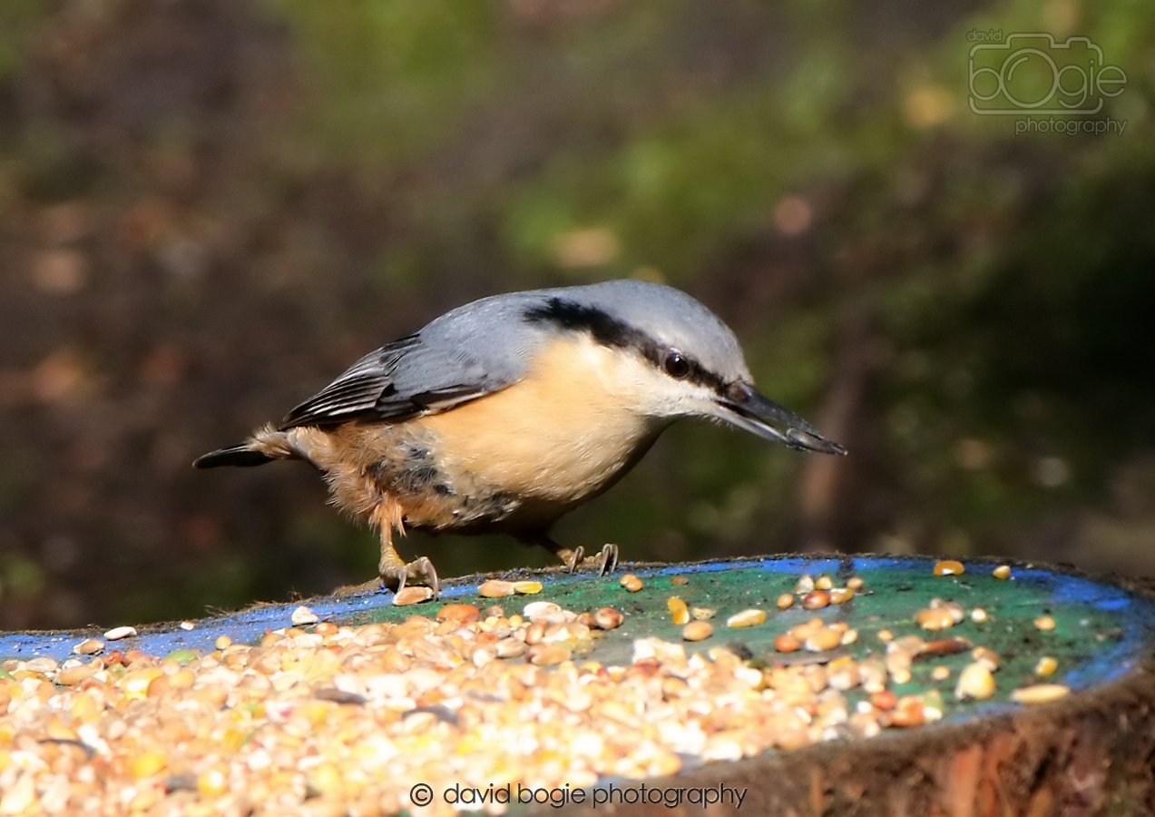 20260306 115440 Dunnikier 0334.jpg