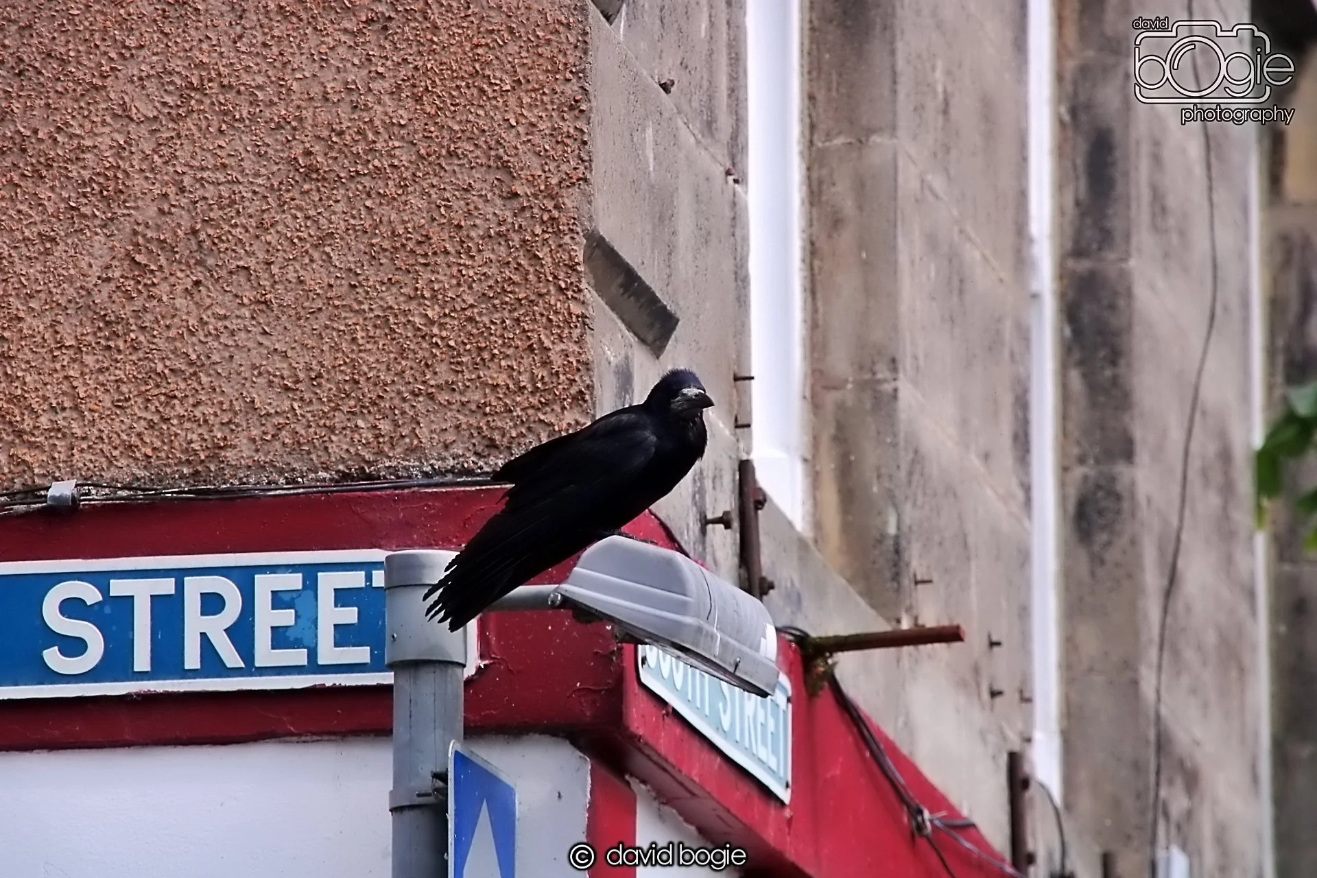 20240531 132907 St Andrews 0255.JPG