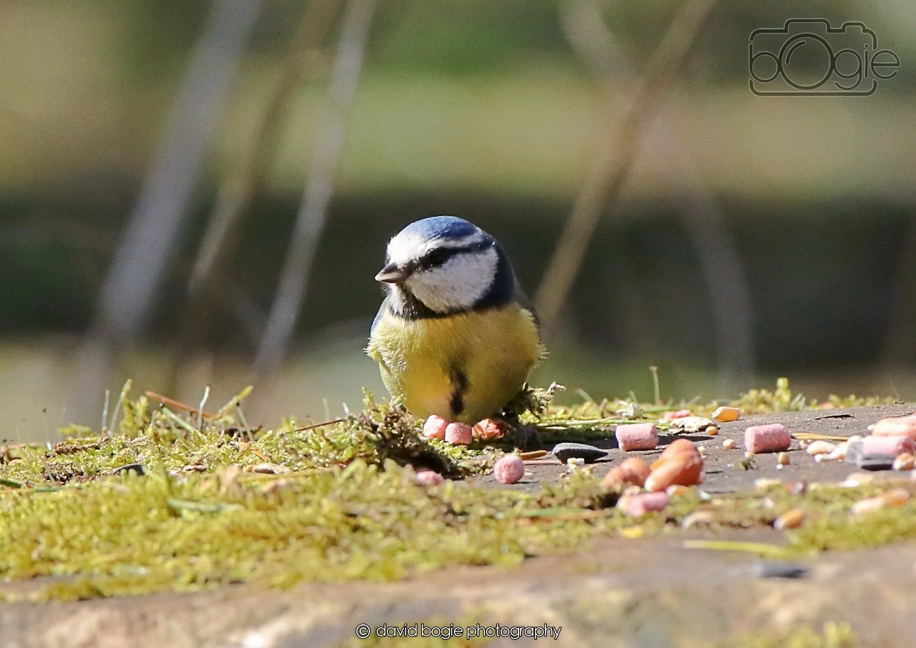 20260402 123652 Ravenscraig 0454.jpg