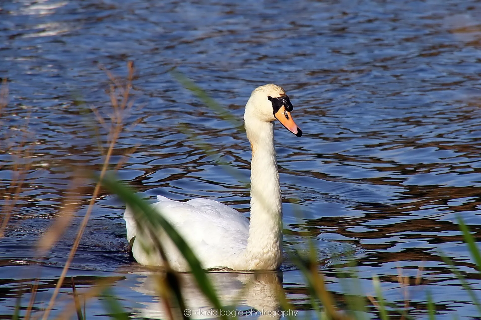 YEAR20231023 Lochore Meadows 122122 0345.jpg