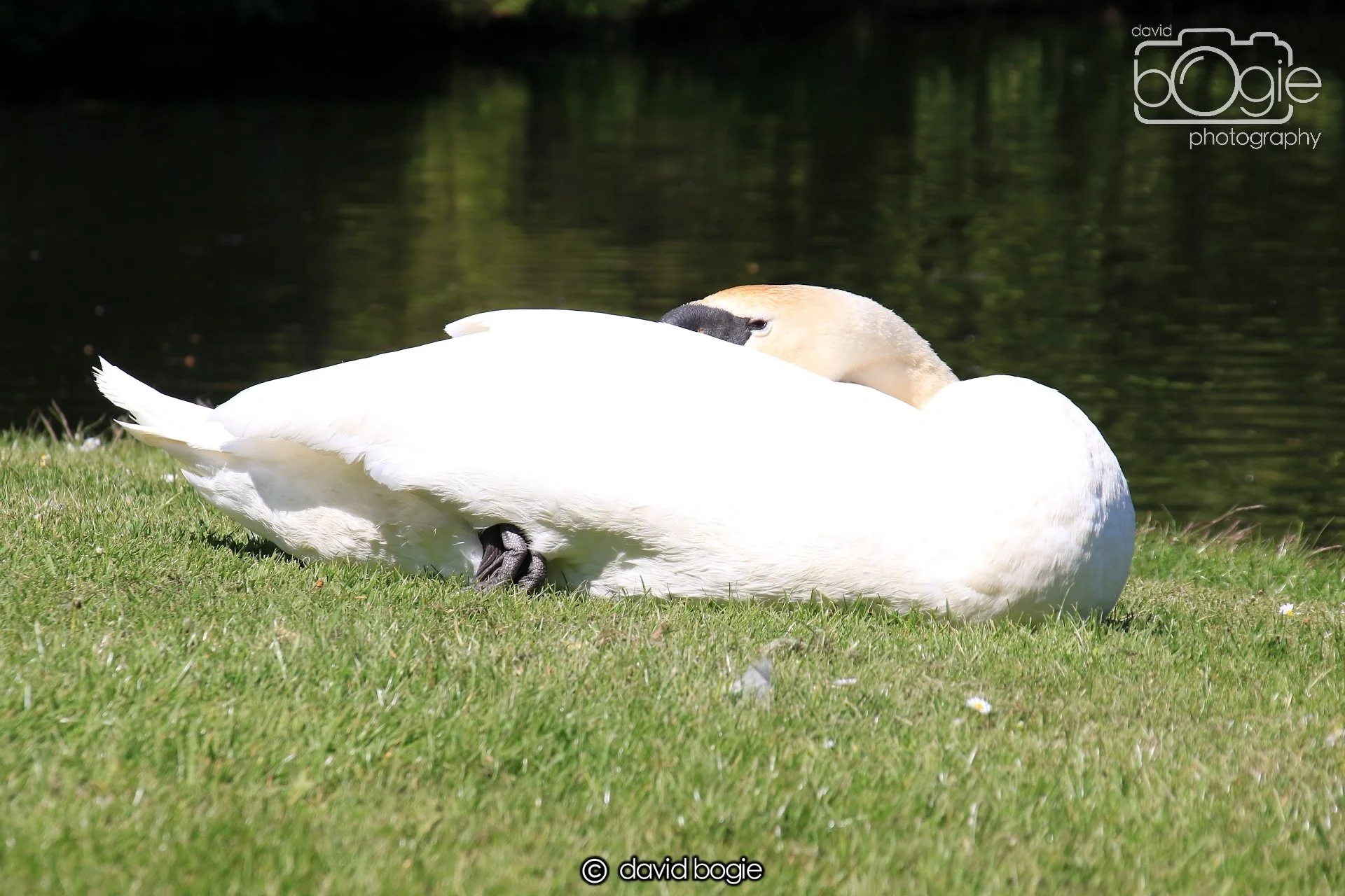 20250517 133616 Beveridge Park 0645.JPG